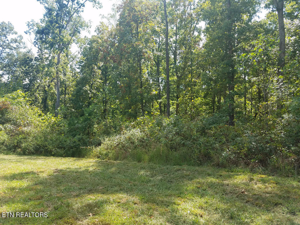 Lot 136 Tumbleweed Trail Rutledge TN 37861
