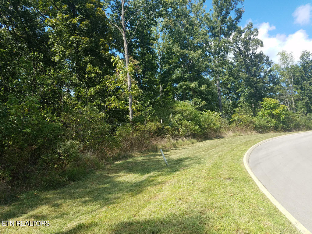 Lot 136 Tumbleweed Trail Rutledge TN 37861