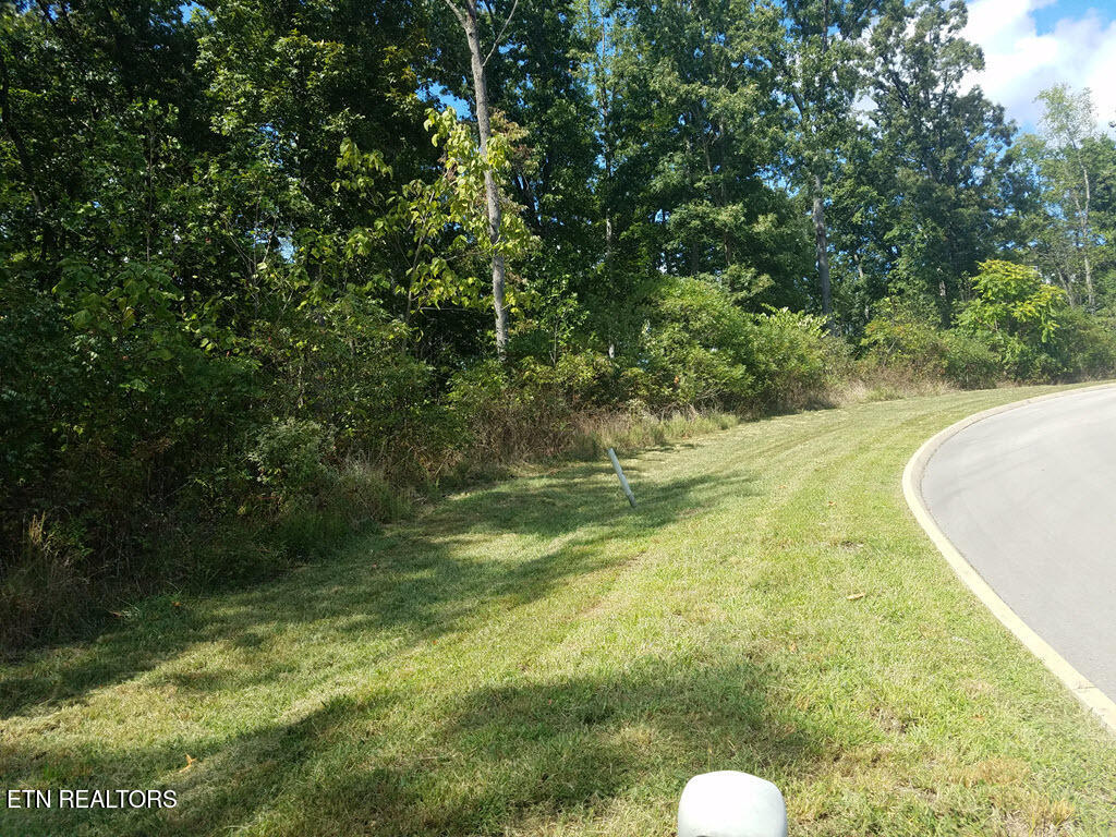 Lot 136 Tumbleweed Trail Rutledge TN 37861