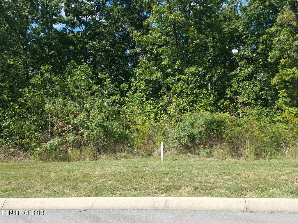 Lot 136 Tumbleweed Trail Rutledge TN 37861