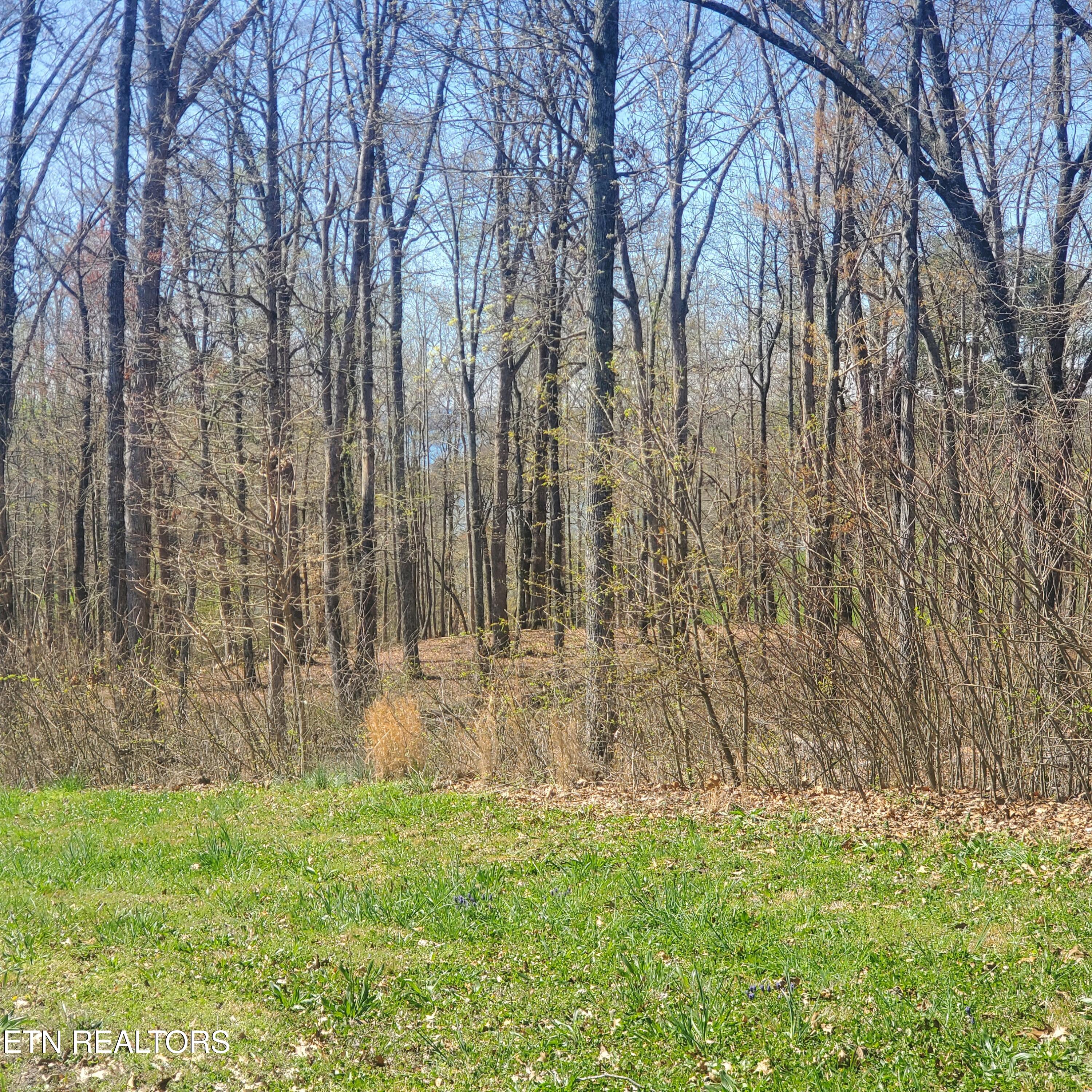 Lot 136 Tumbleweed Trail Rutledge TN 37861