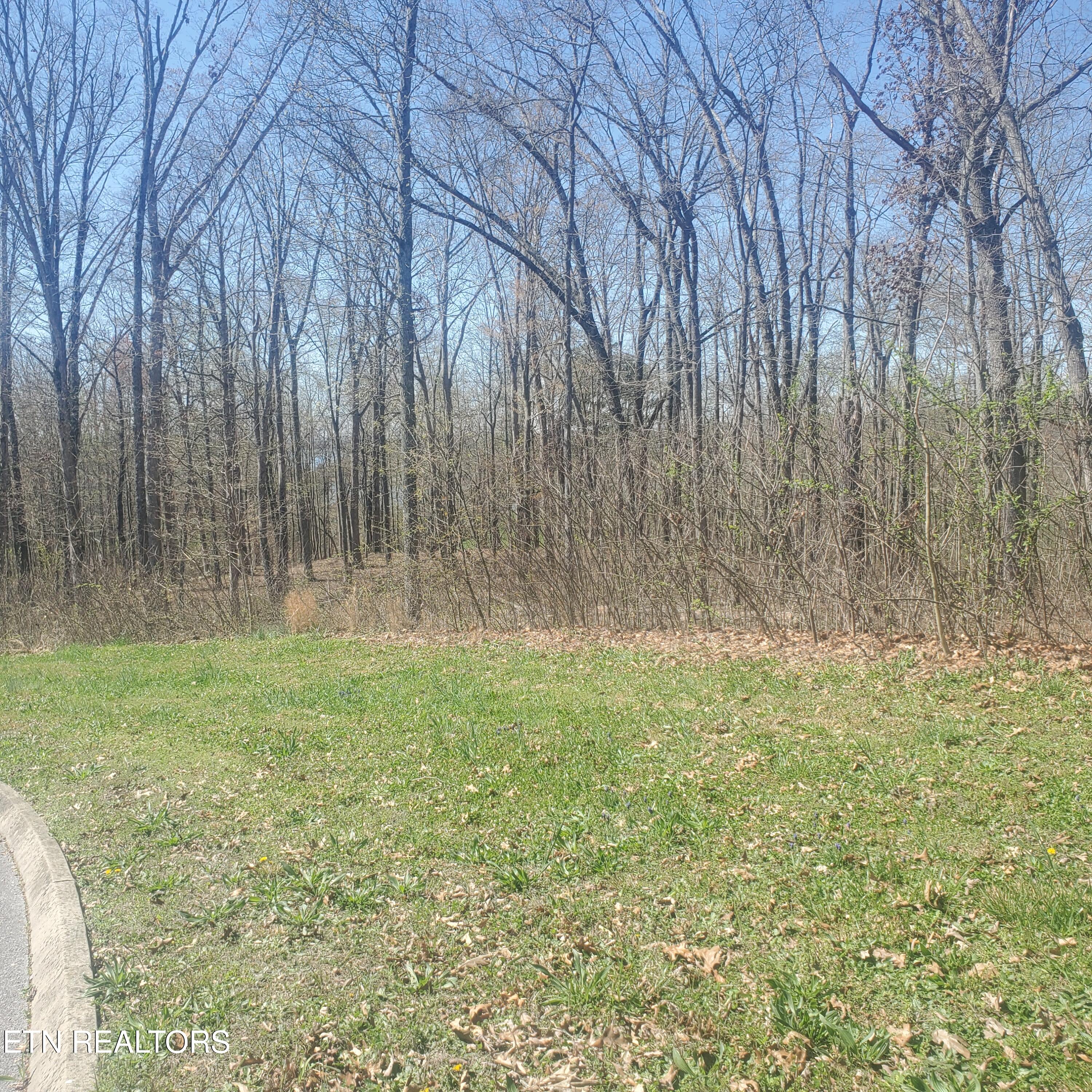 Lot 136 Tumbleweed Trail Rutledge TN 37861
