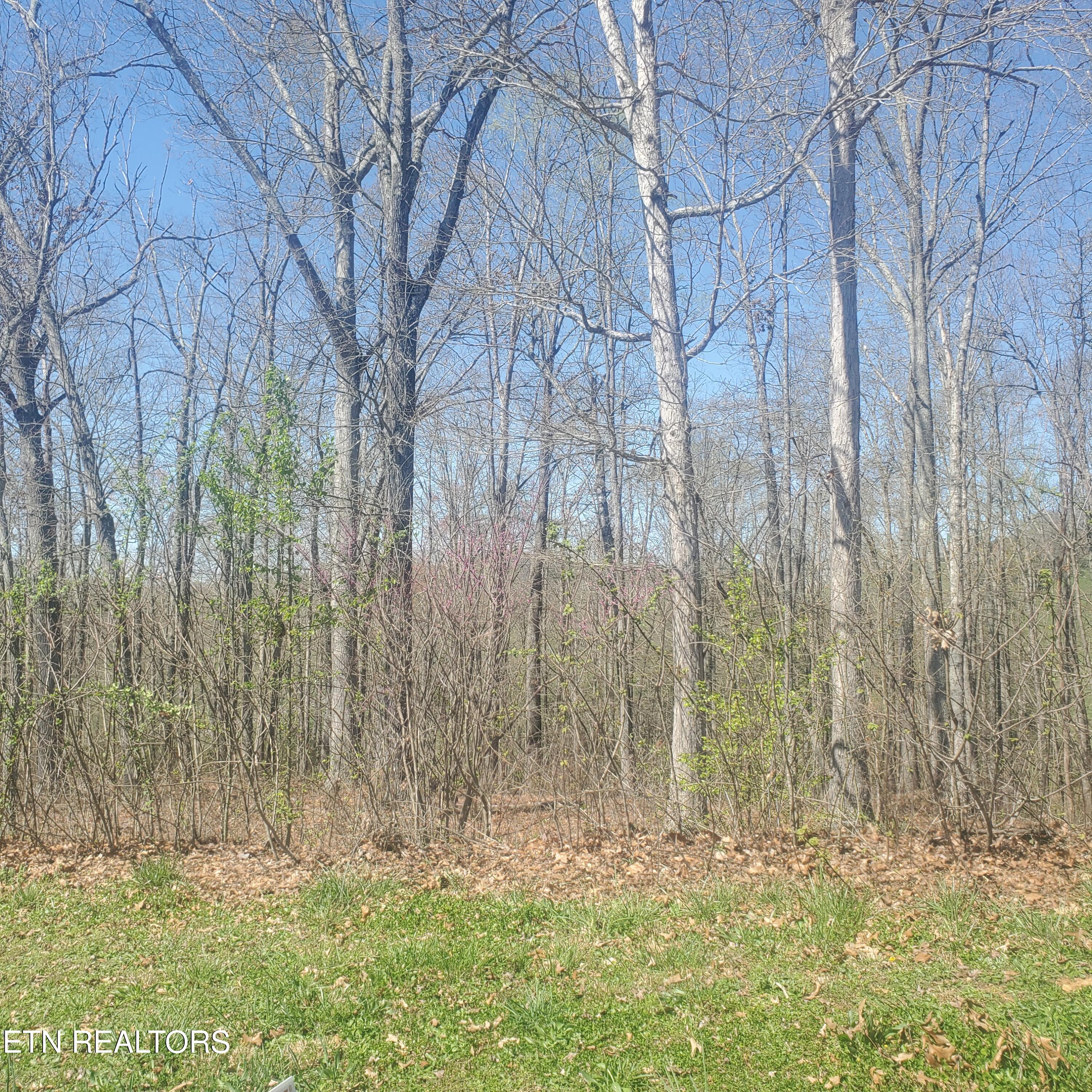 Lot 136 Tumbleweed Trail Rutledge TN 37861