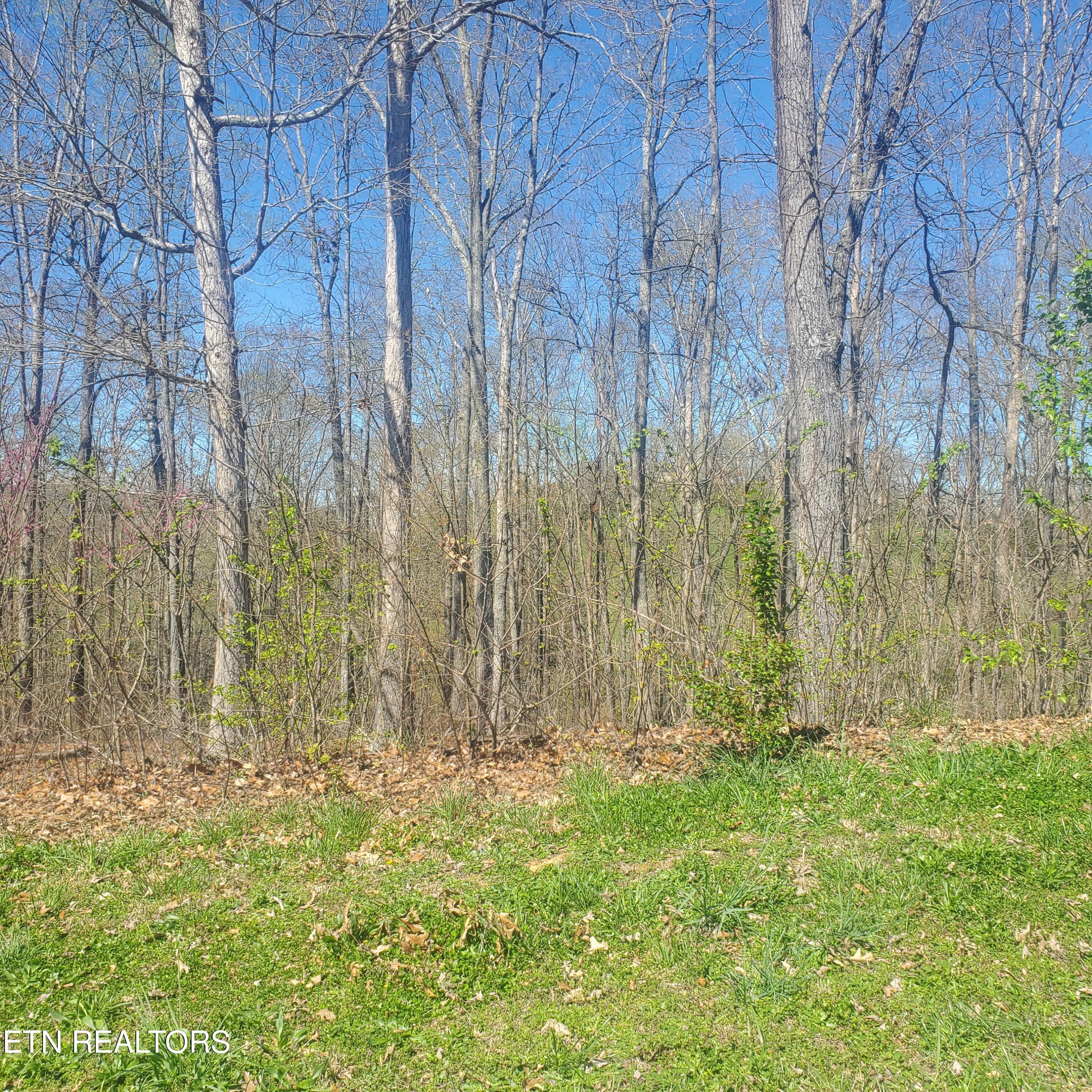 Lot 136 Tumbleweed Trail Rutledge TN 37861