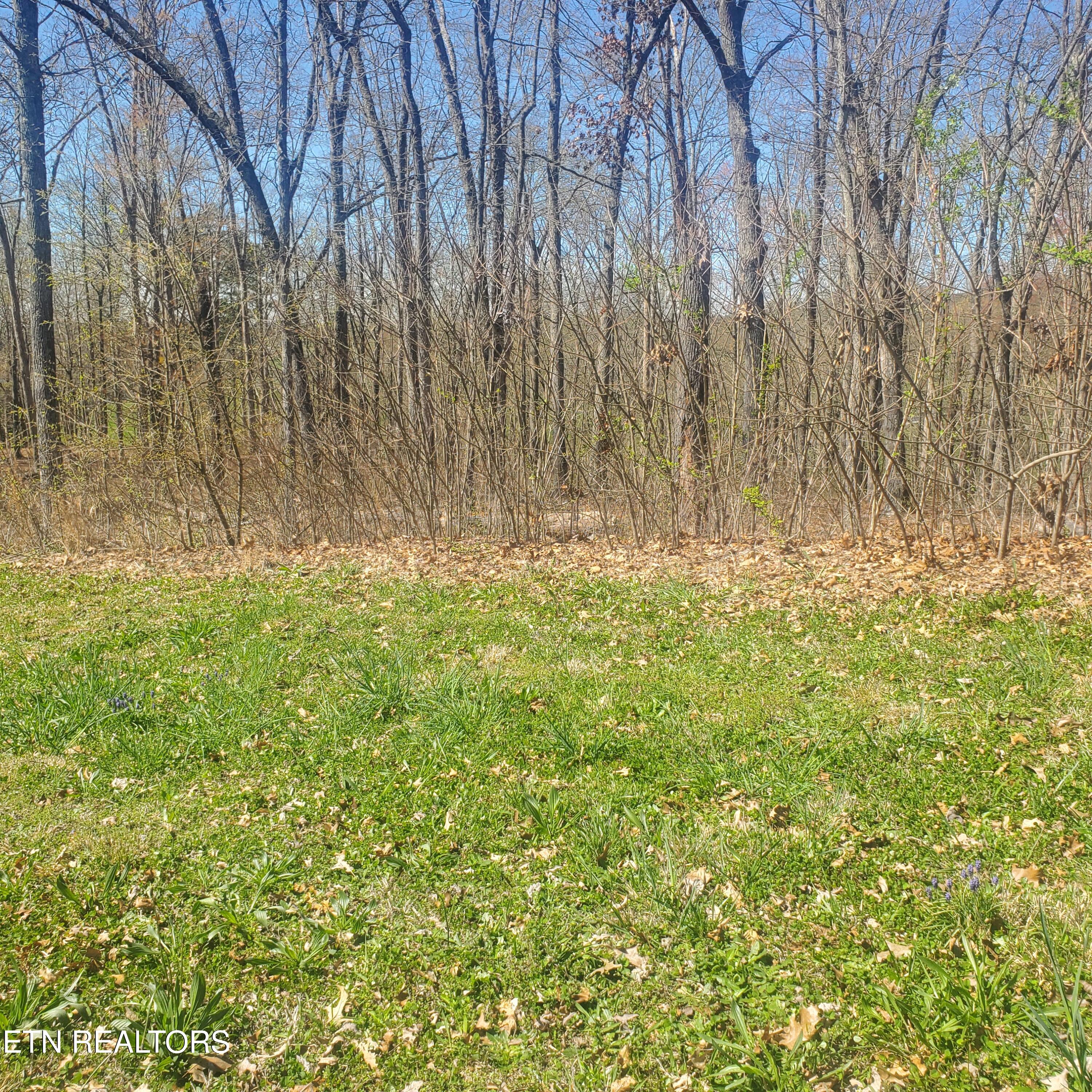 Lot 136 Tumbleweed Trail Rutledge TN 37861
