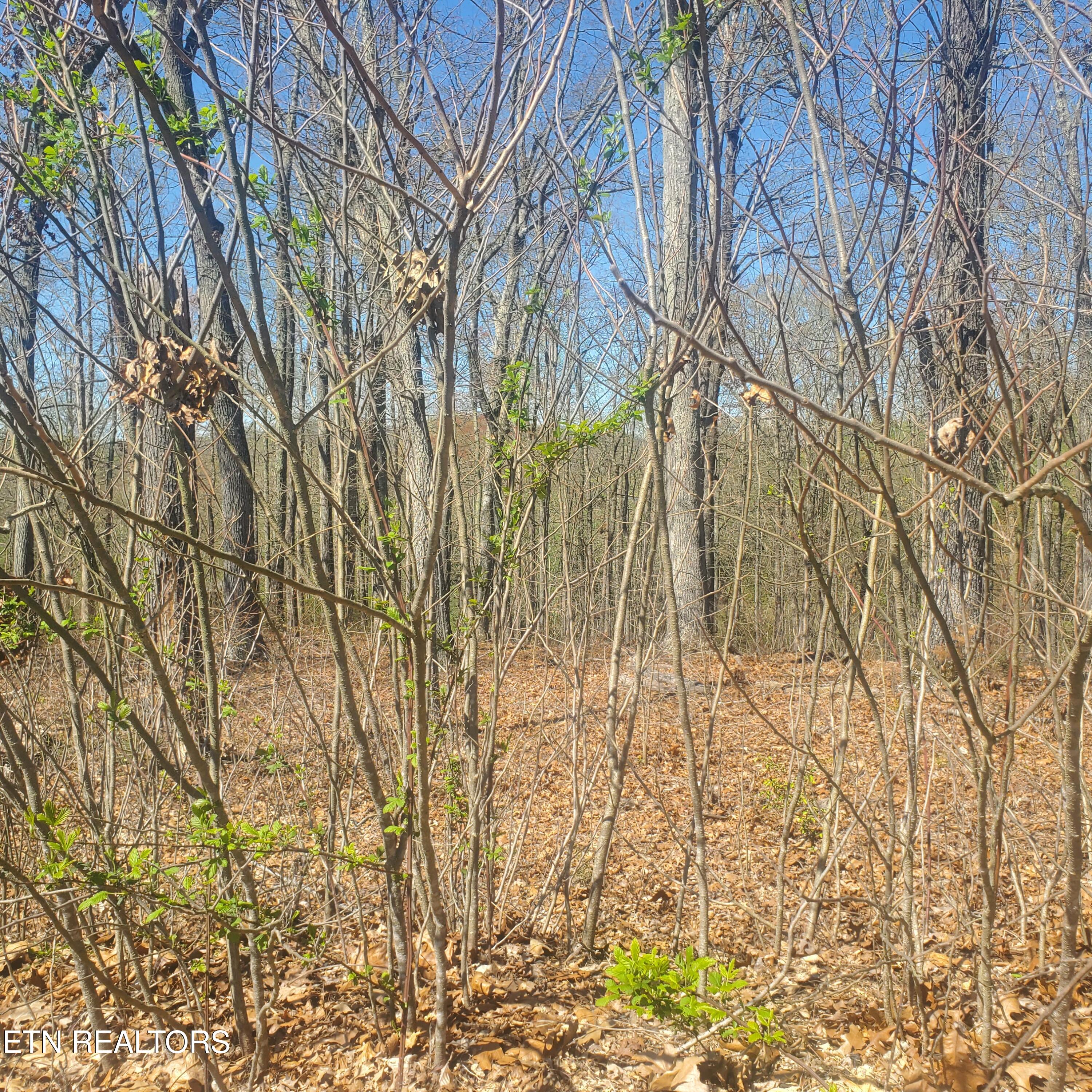 Lot 136 Tumbleweed Trail Rutledge TN 37861