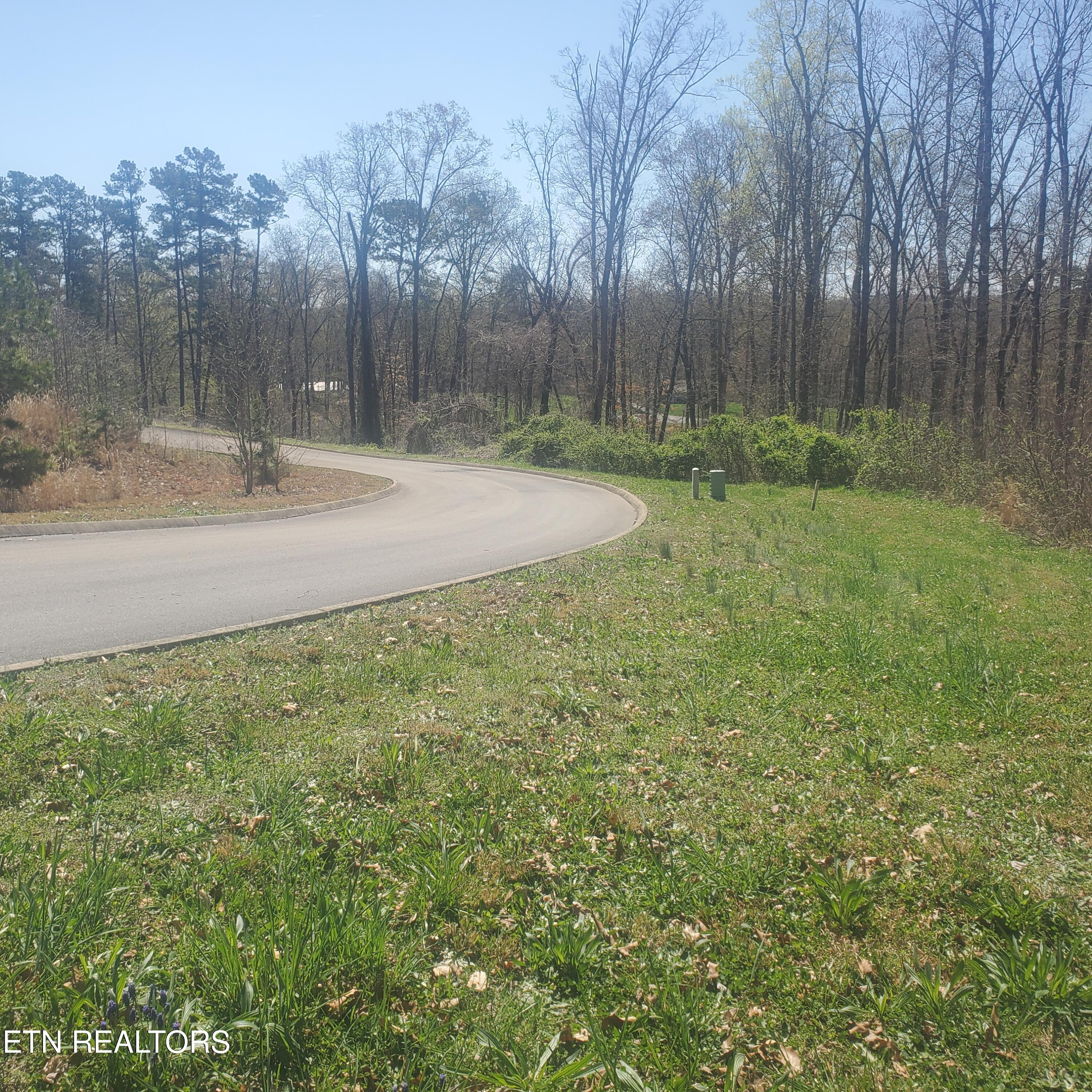 Lot 136 Tumbleweed Trail Rutledge TN 37861