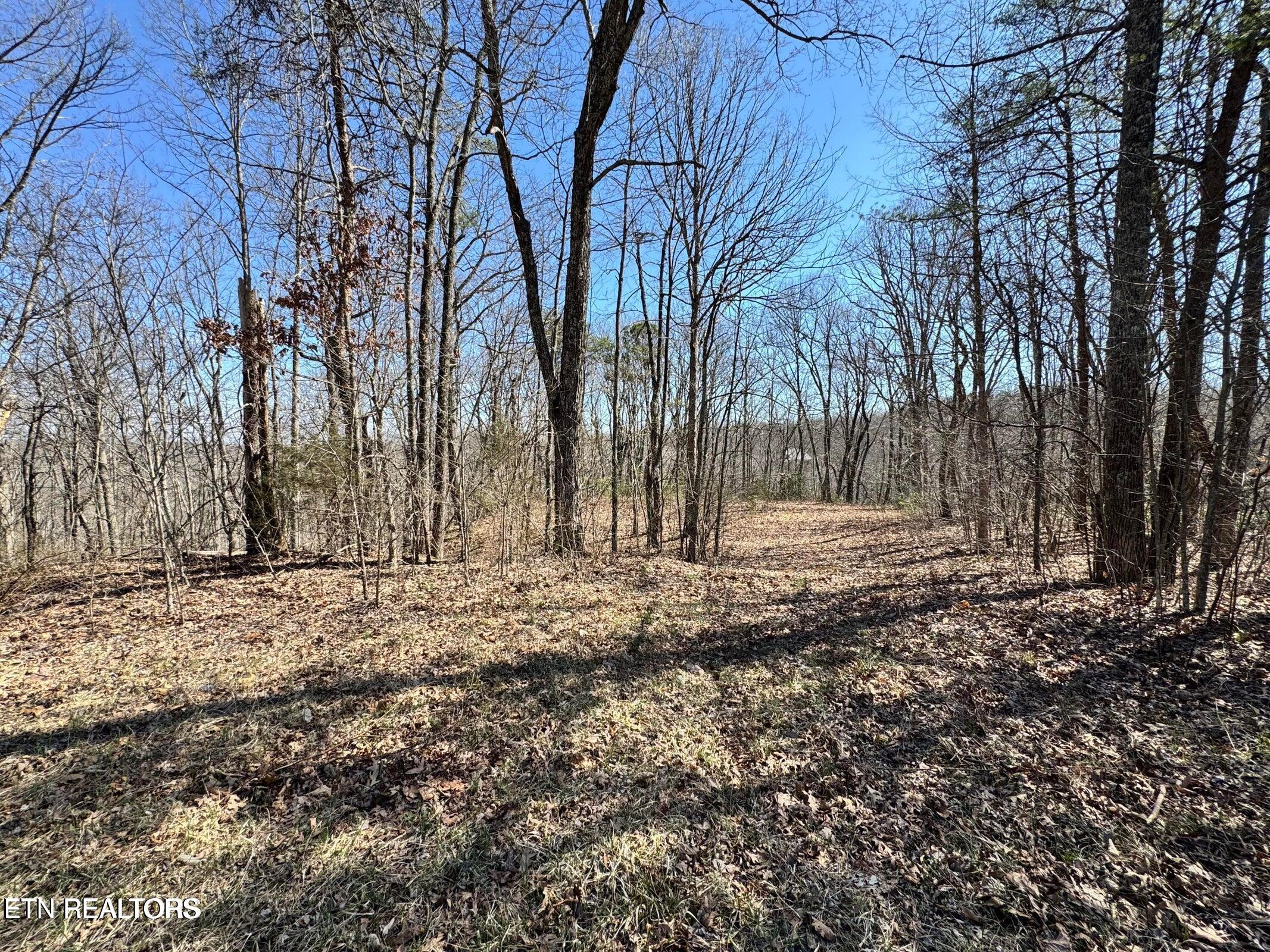 Honey Springs Road Crawford TN 38554