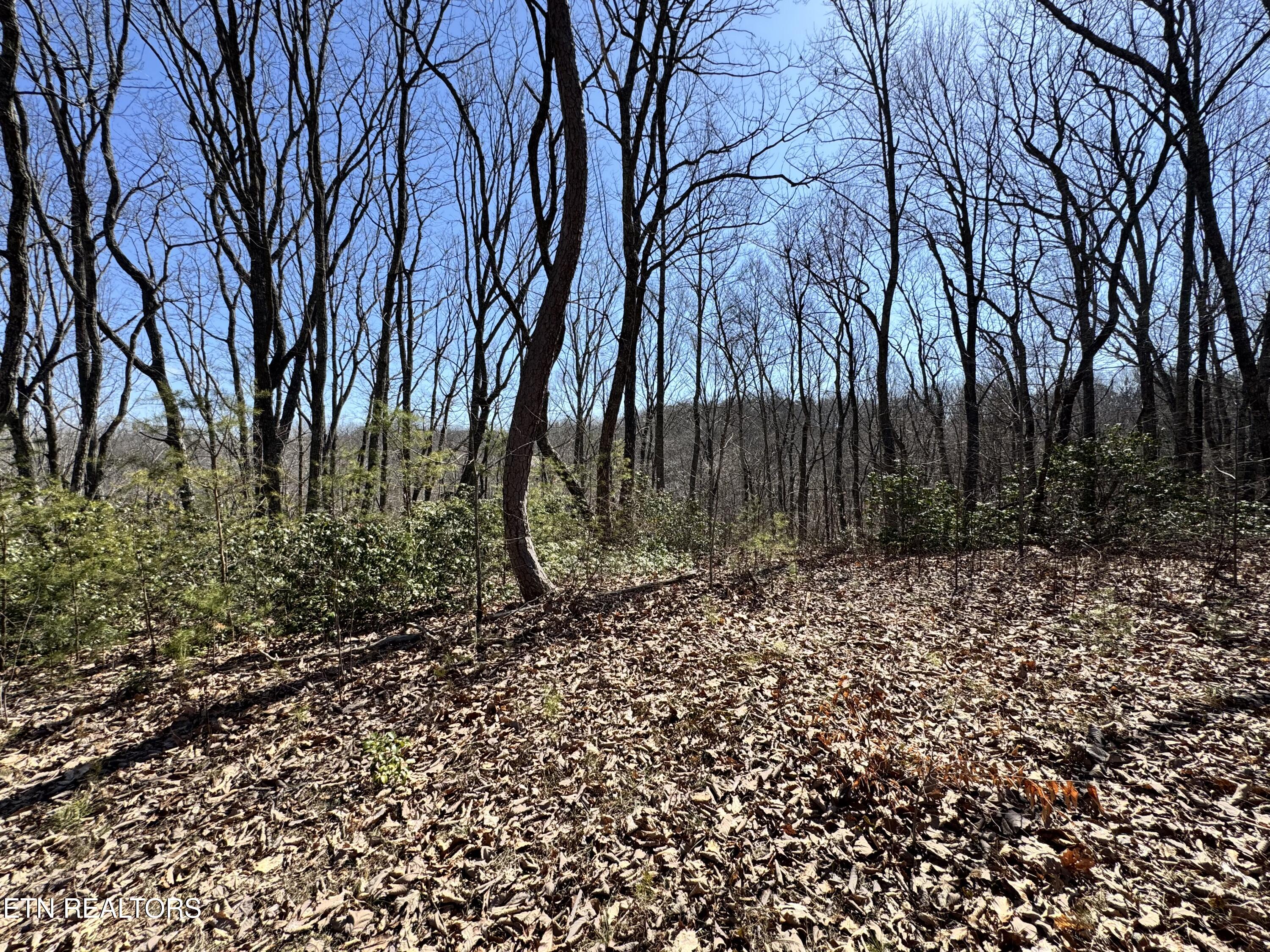 Honey Springs Road Crawford TN 38554
