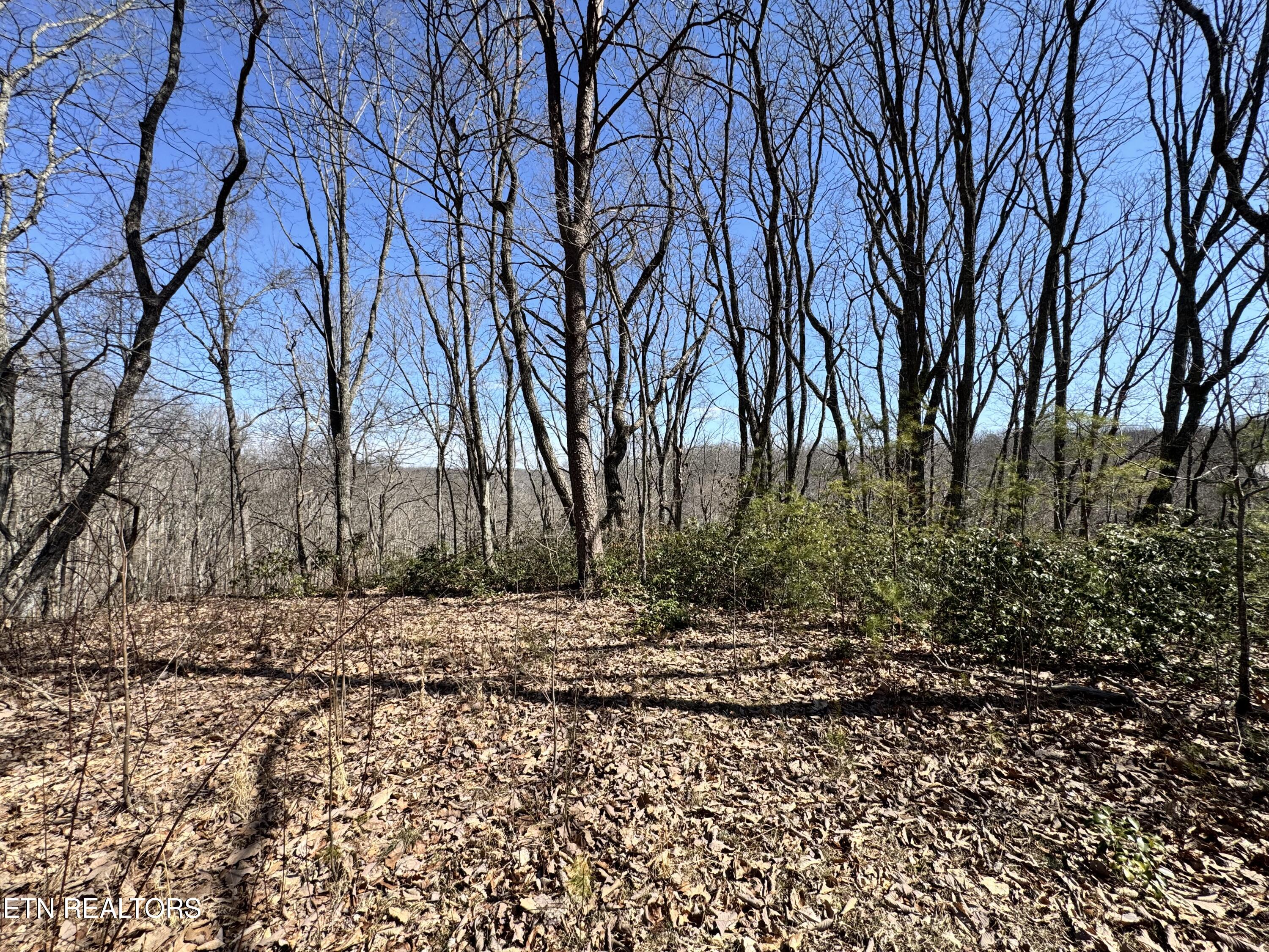 Honey Springs Road Crawford TN 38554