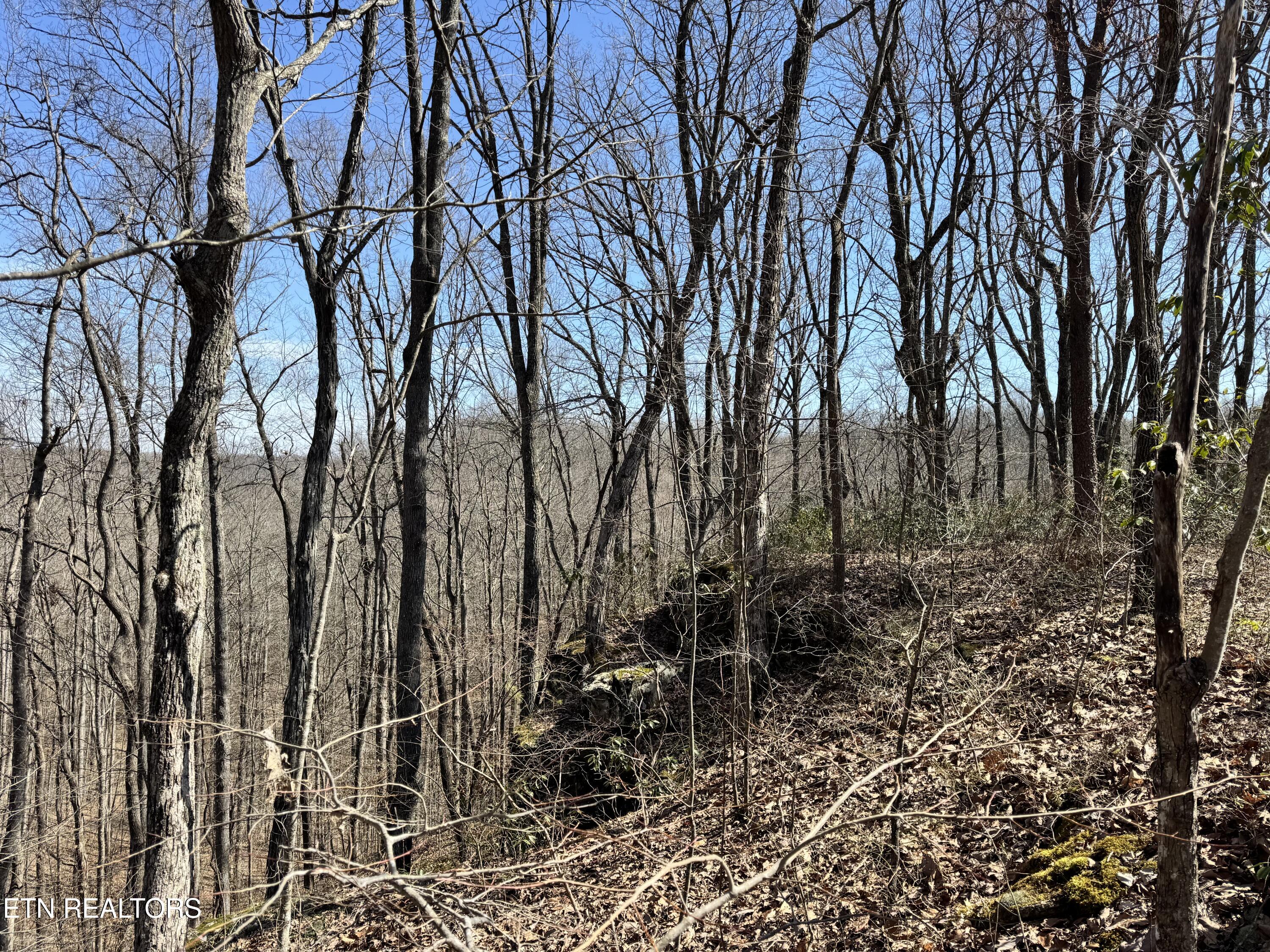 Honey Springs Road Crawford TN 38554