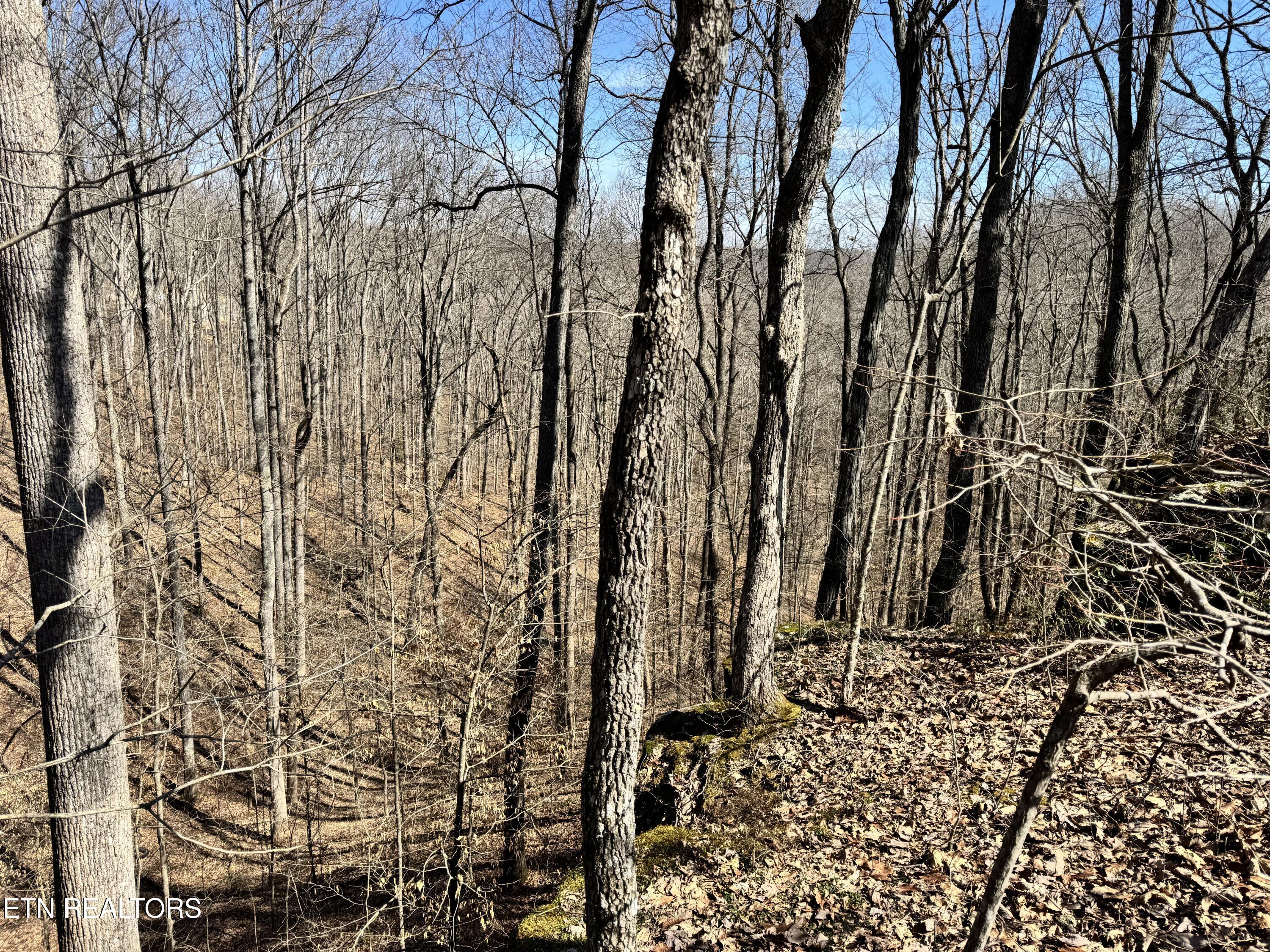 Honey Springs Road Crawford TN 38554