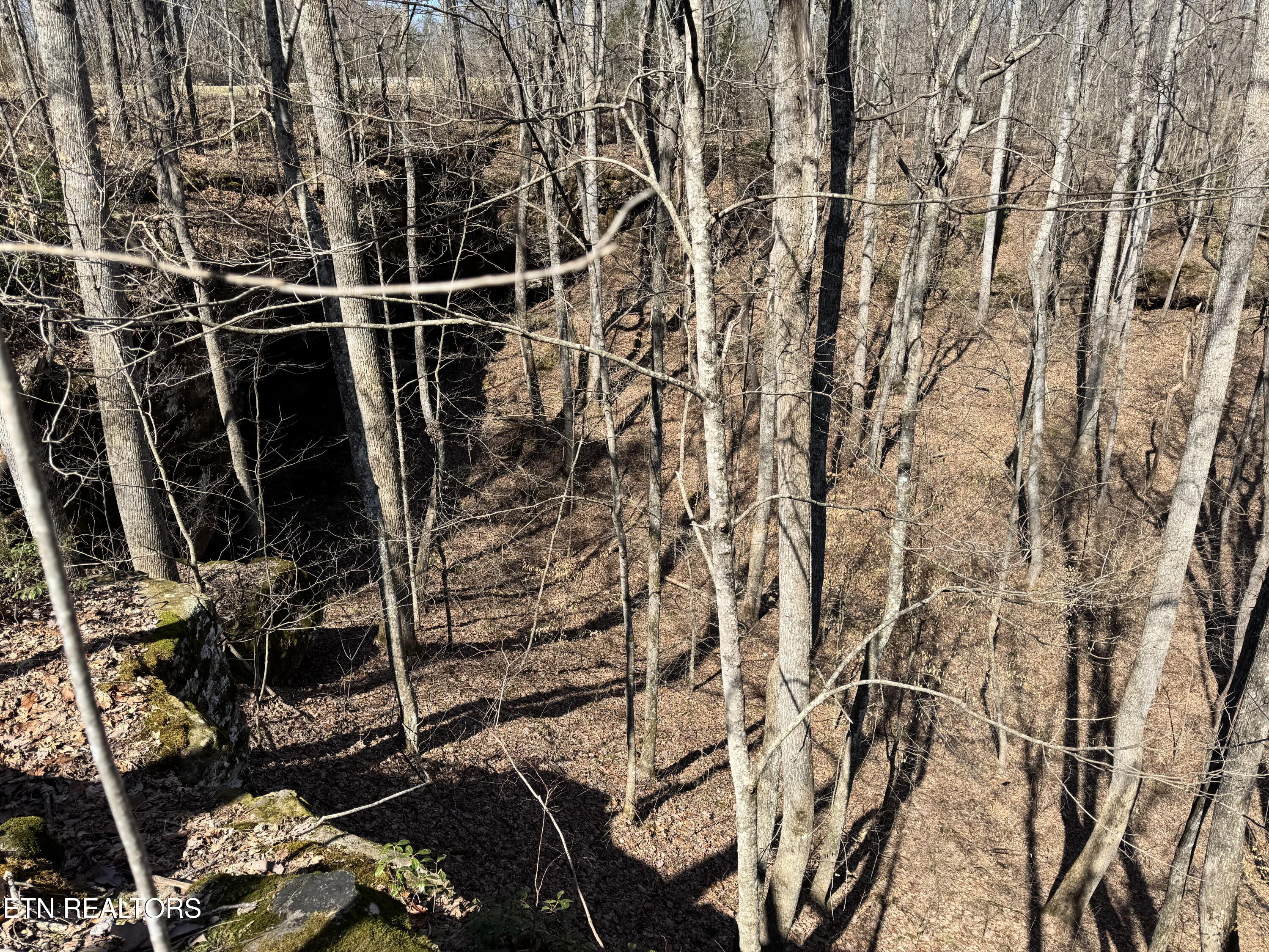 Honey Springs Road Crawford TN 38554