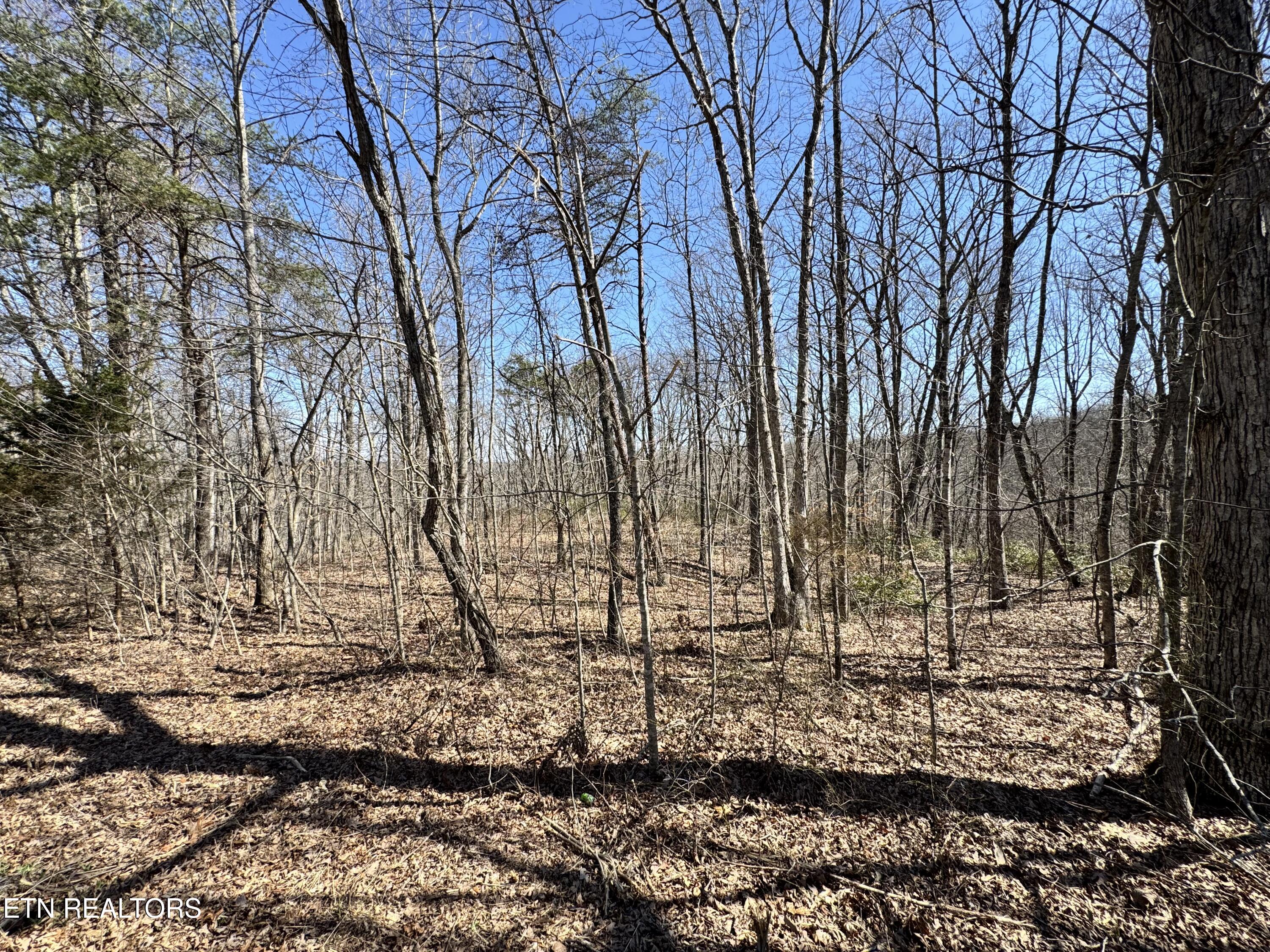 Honey Springs Road Crawford TN 38554