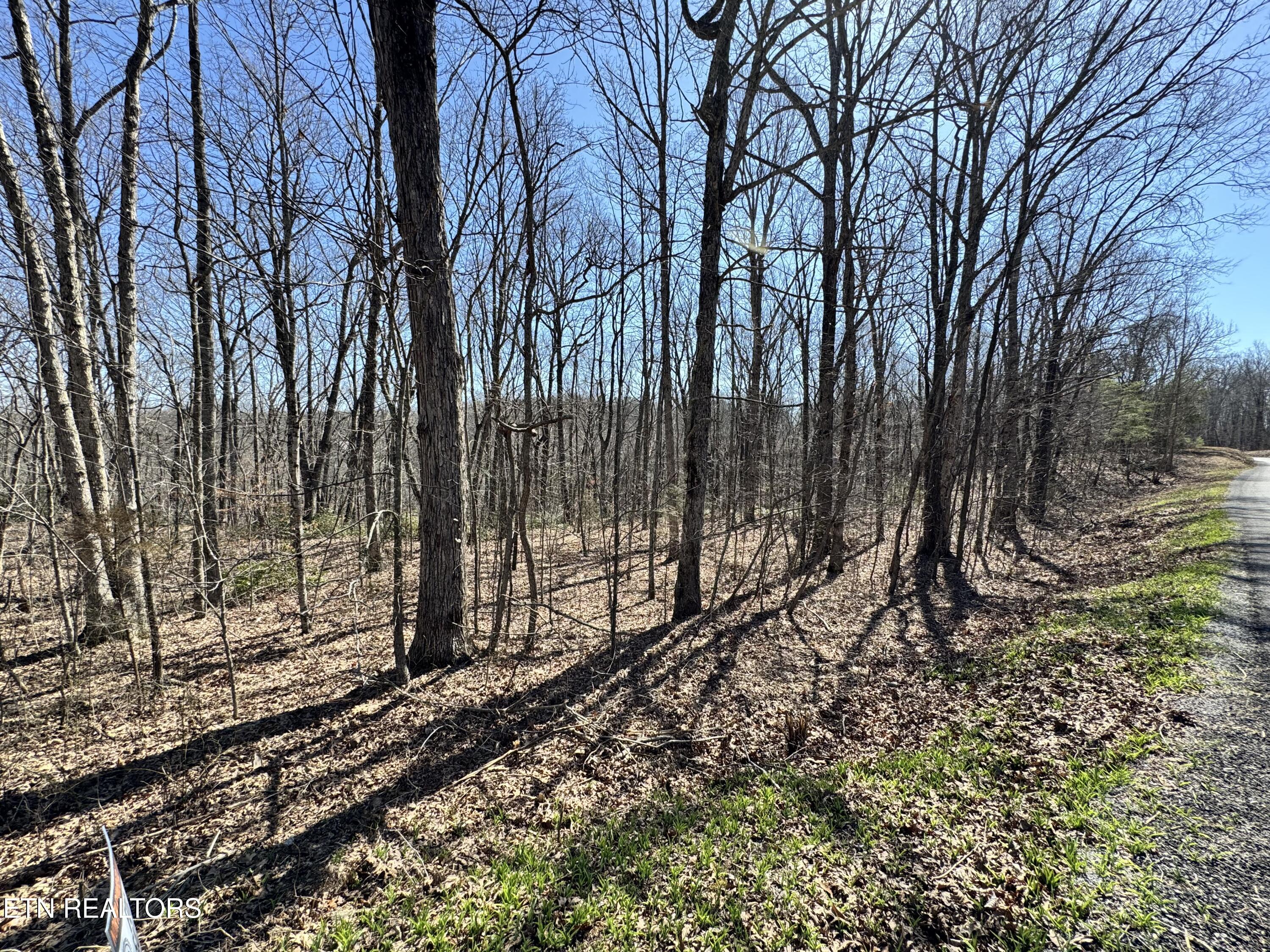 Honey Springs Road Crawford TN 38554