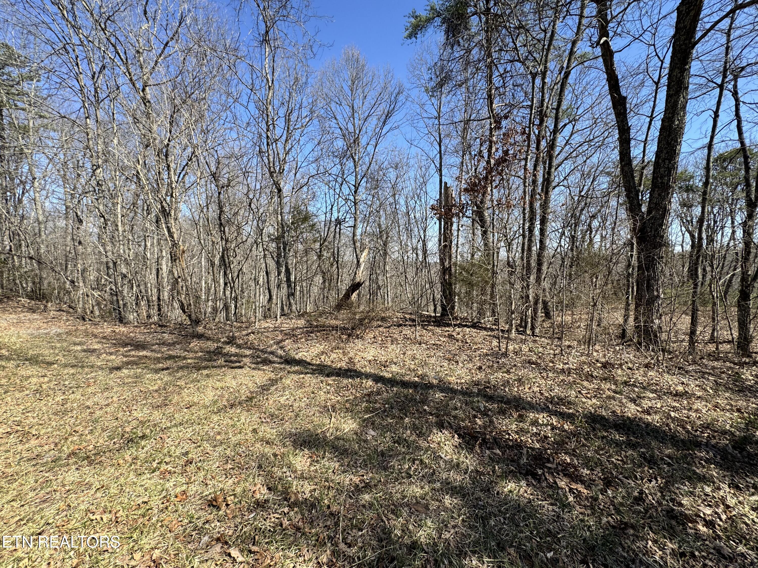 Honey Springs Road Crawford TN 38554