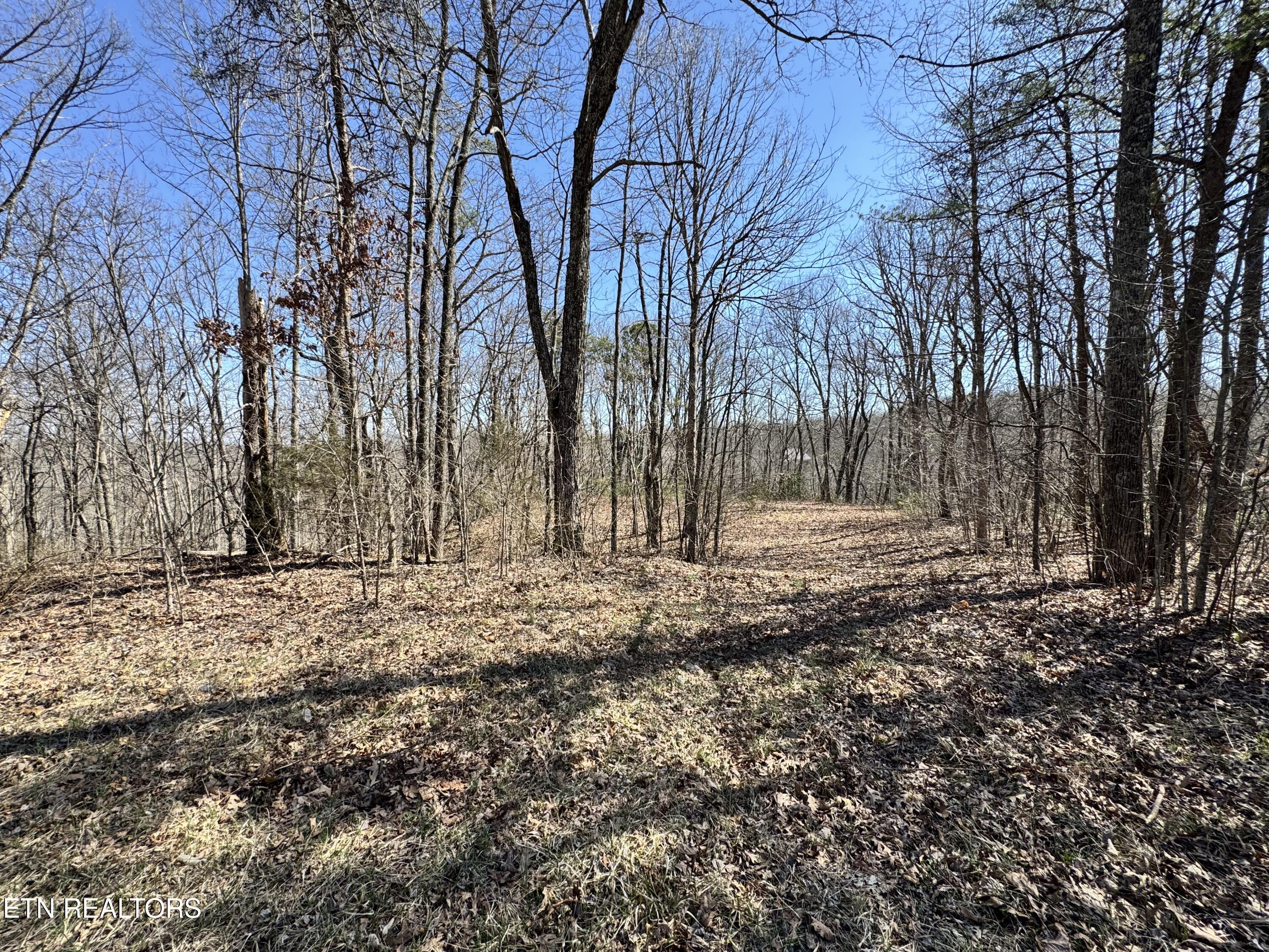 Honey Springs Road Crawford TN 38554