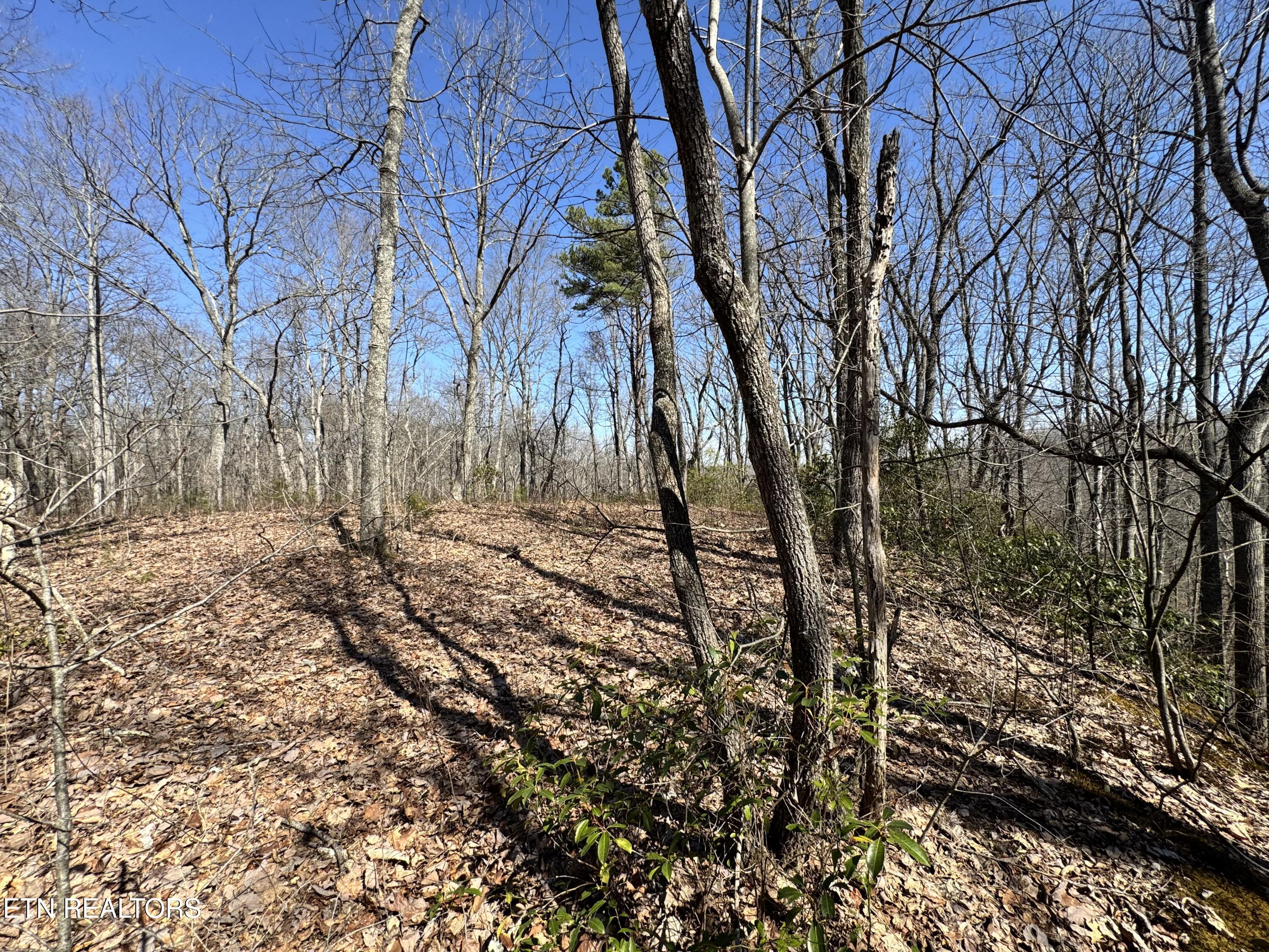 Honey Springs Road Crawford TN 38554
