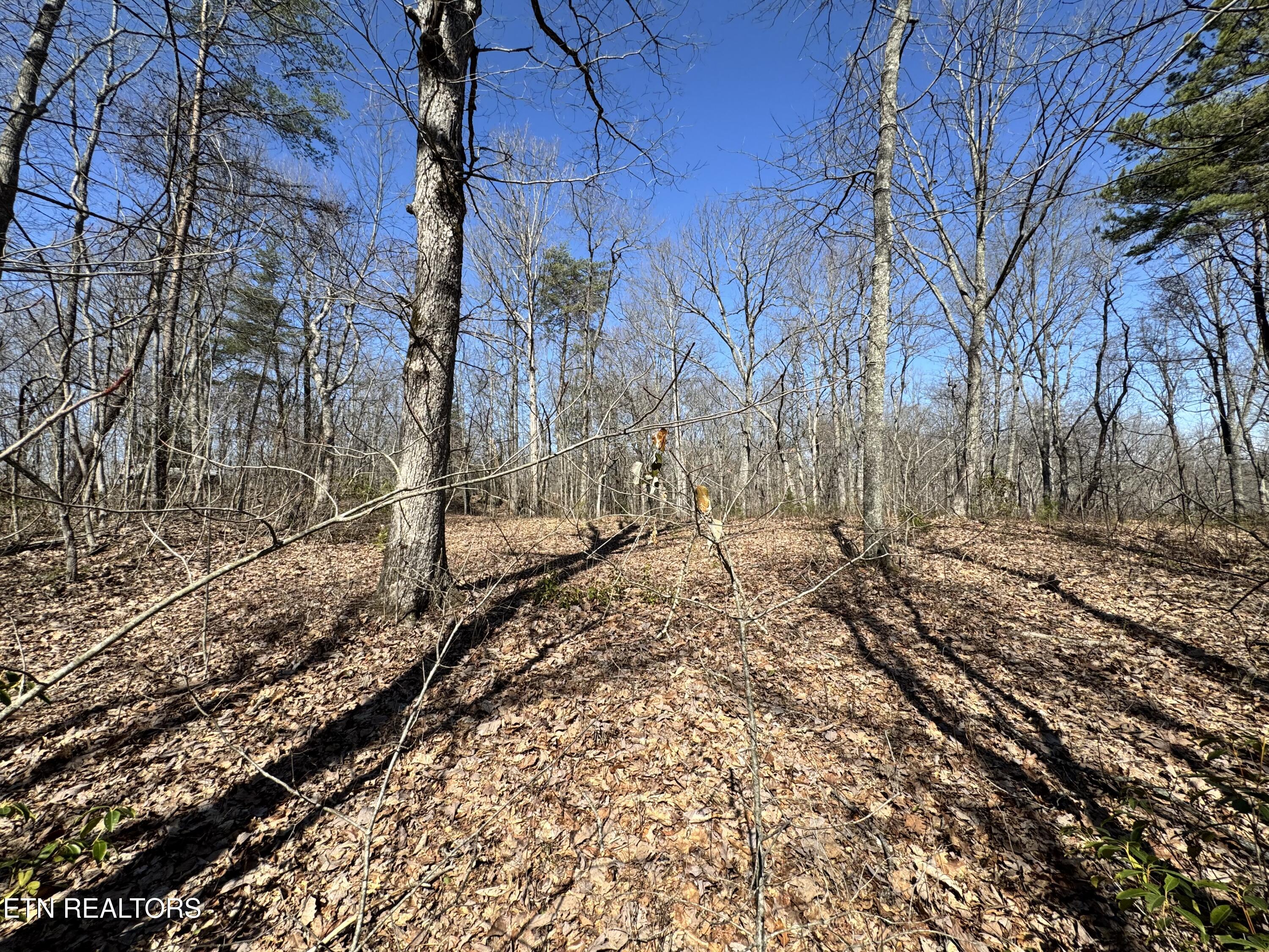 Honey Springs Road Crawford TN 38554
