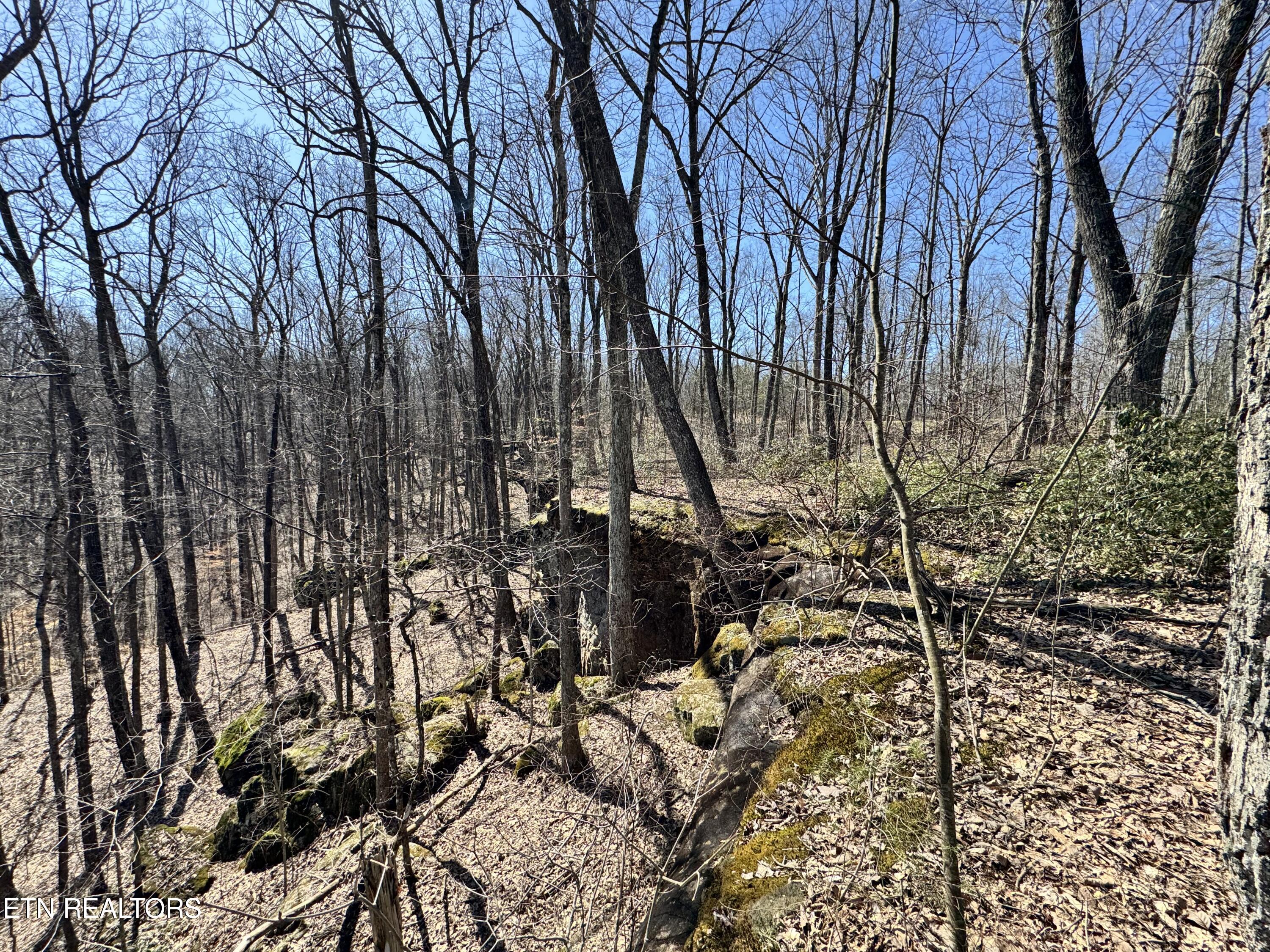 Honey Springs Road Crawford TN 38554