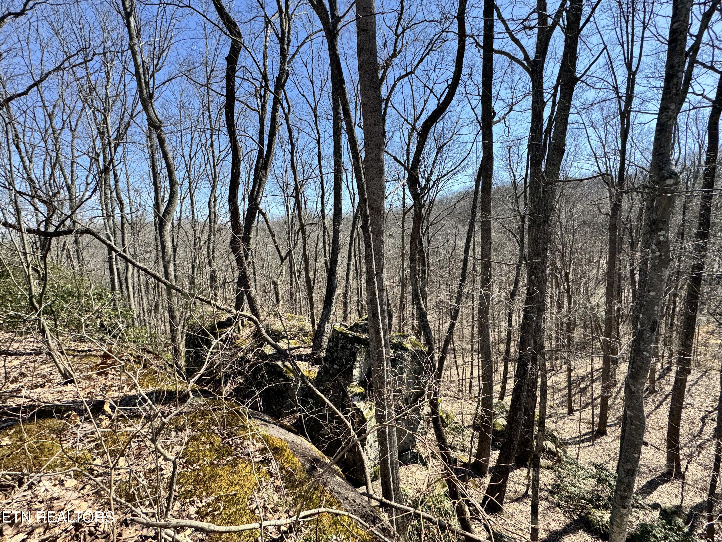 Honey Springs Road Crawford TN 38554