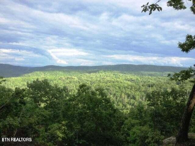 Lot 12 Green Ridge Trail Harriman TN 37748