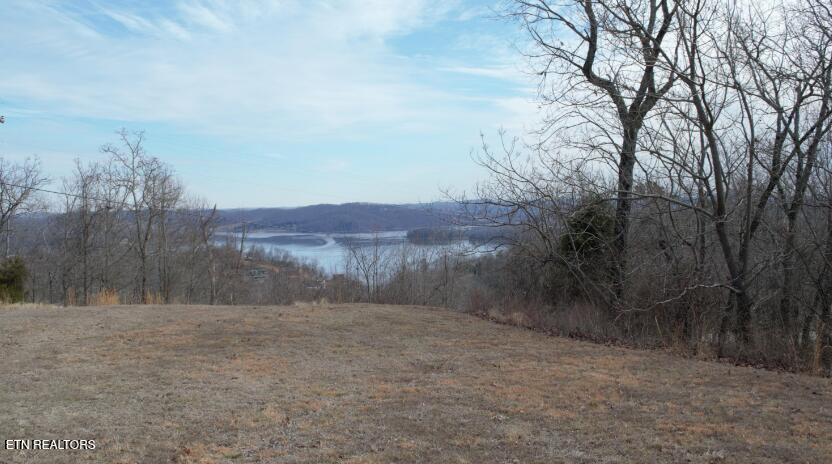 454 Crystal Springs Road Rockwood TN 37854