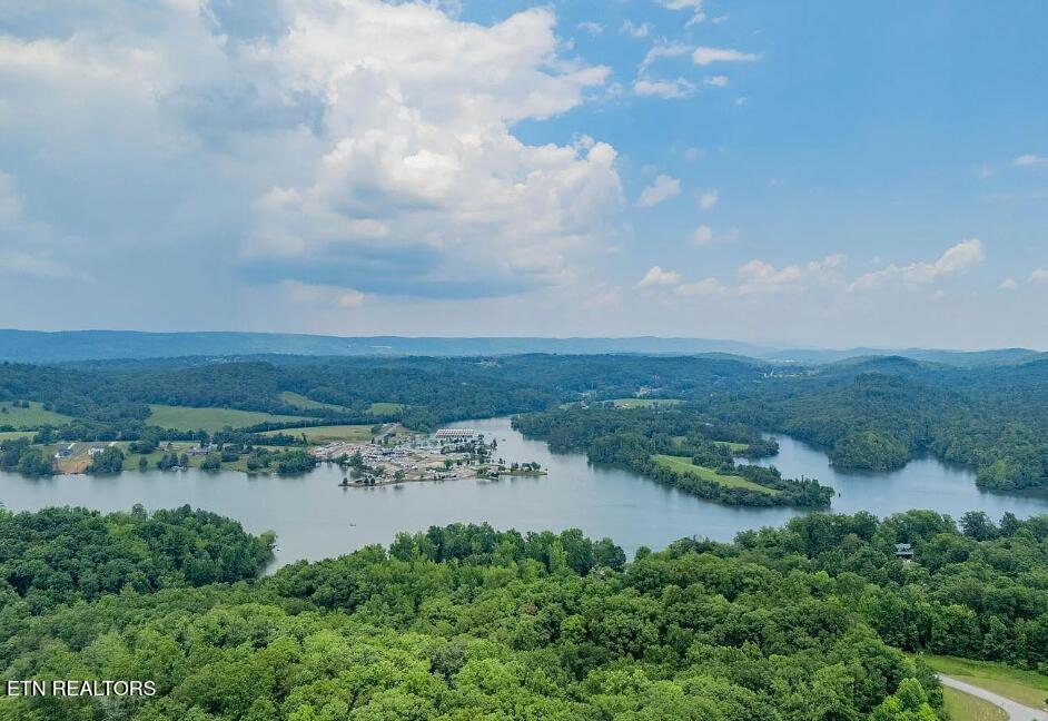 454 Crystal Springs Road Rockwood TN 37854
