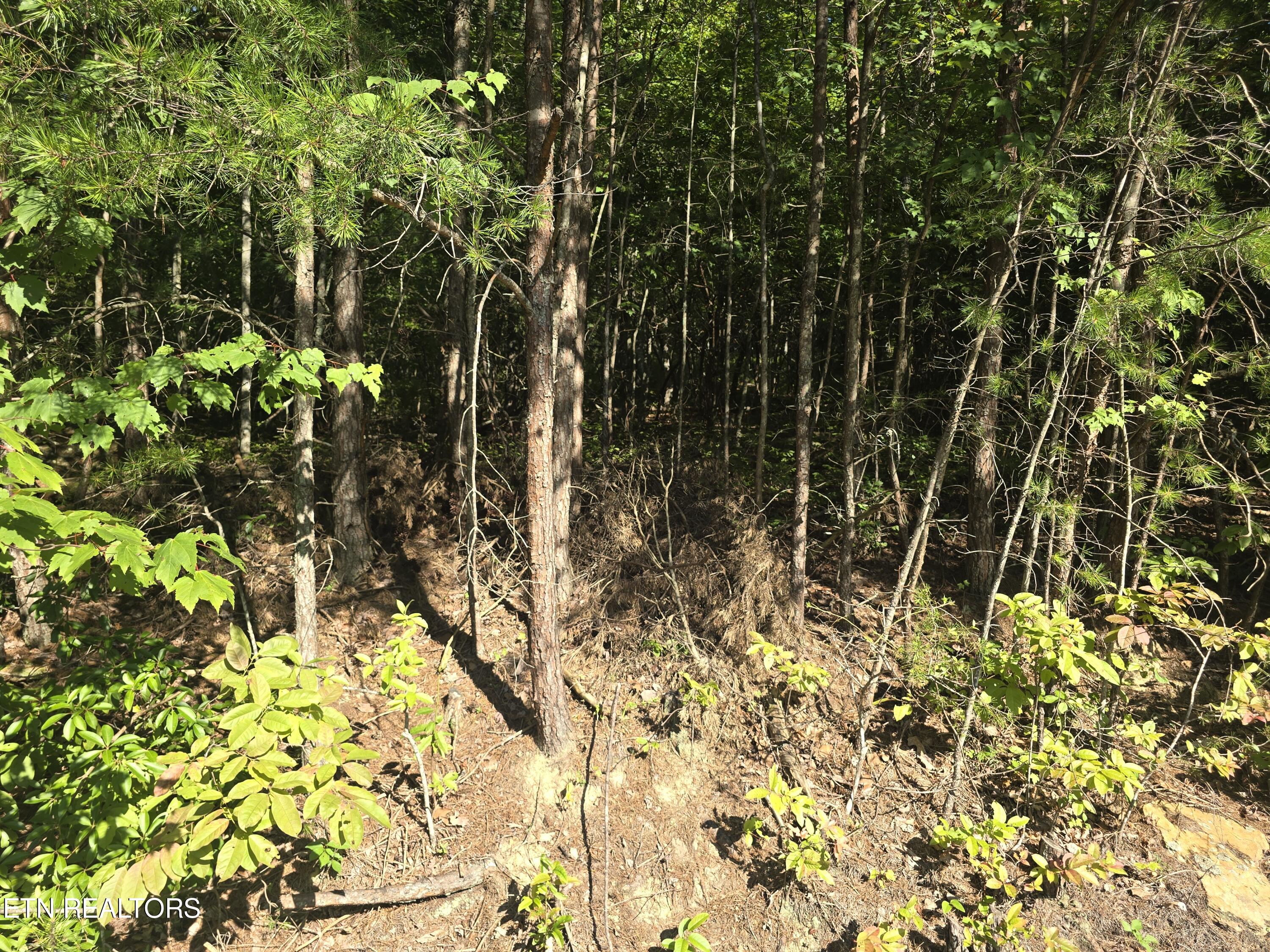 29 Byron Lane Crossville TN 38558
