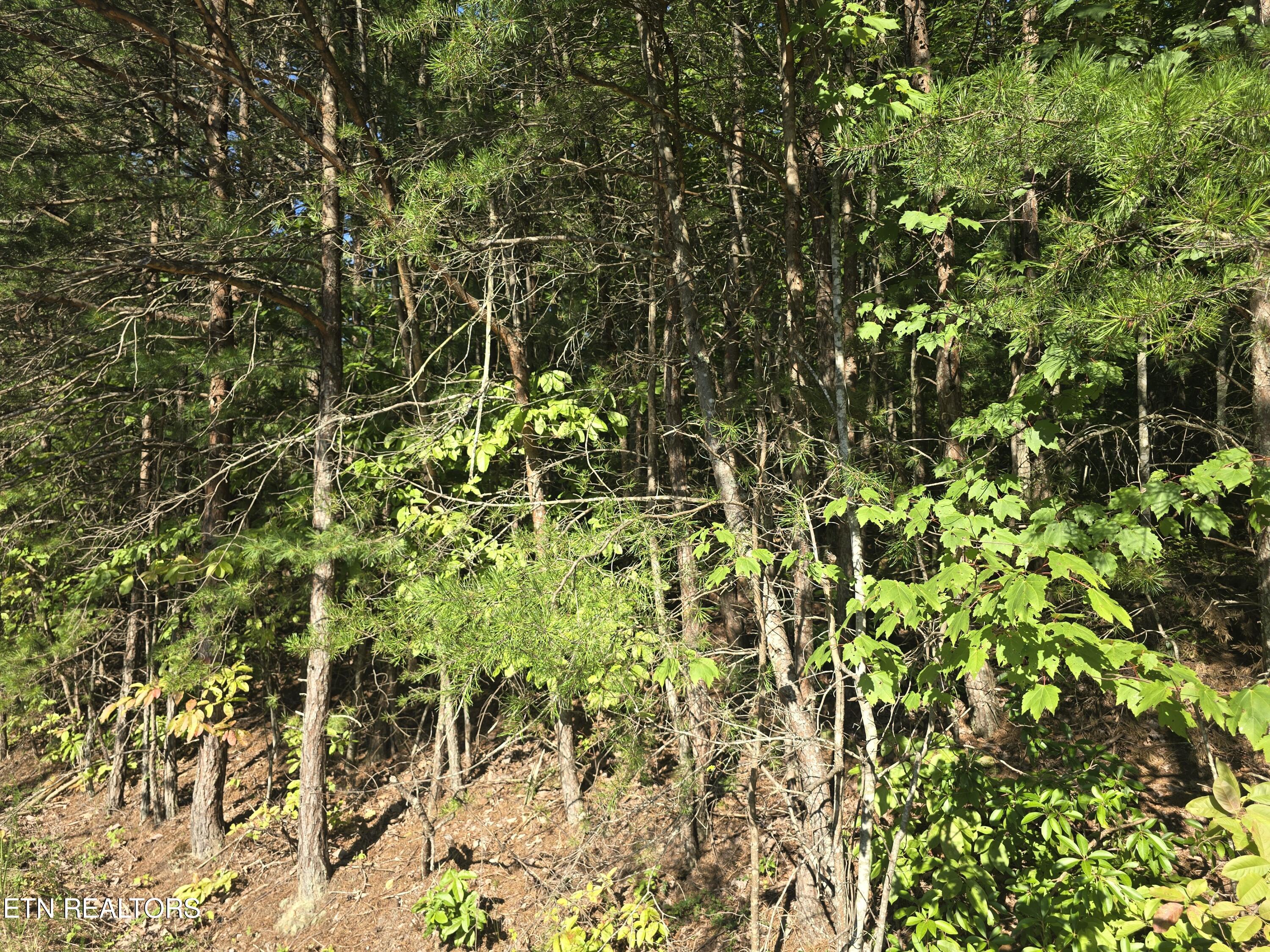 29 Byron Lane Crossville TN 38558