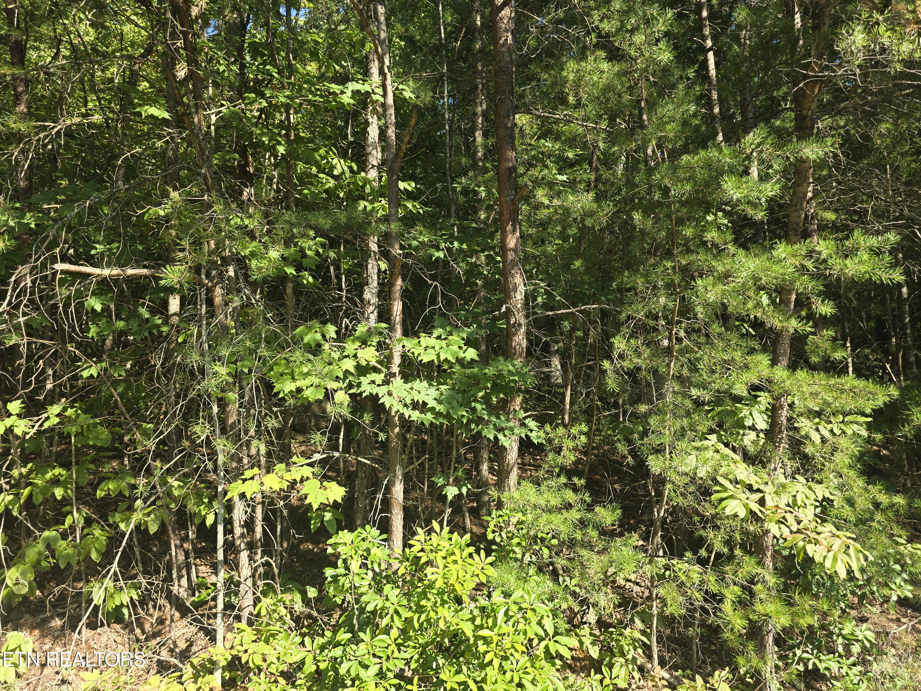 29 Byron Lane Crossville TN 38558