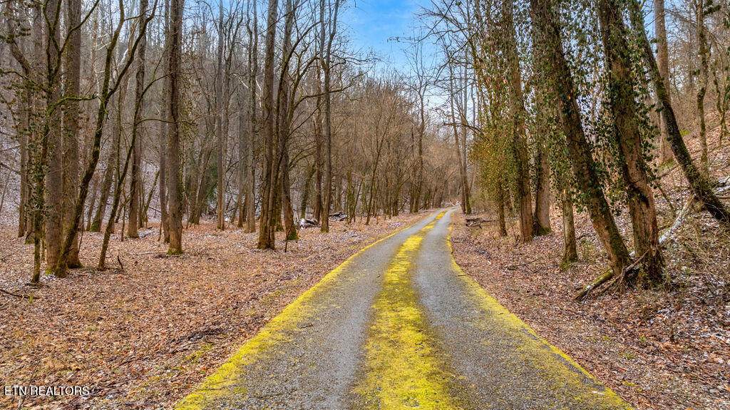 4129 Bear Hollow Loop Louisville TN 37777