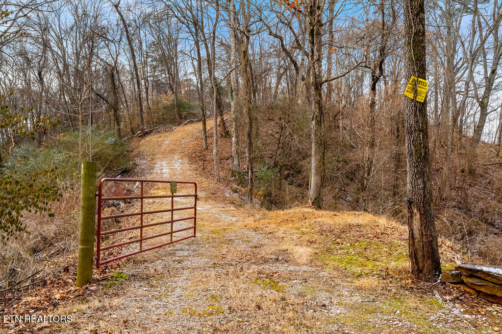 4129 Bear Hollow Loop Louisville TN 37777