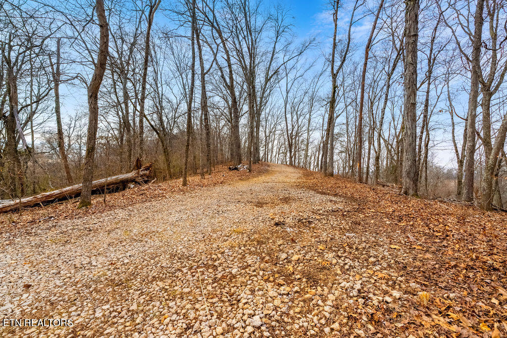 4129 Bear Hollow Loop Louisville TN 37777