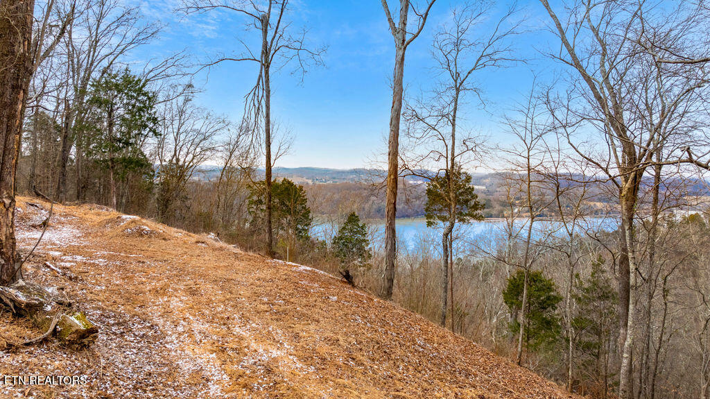 4129 Bear Hollow Loop Louisville TN 37777