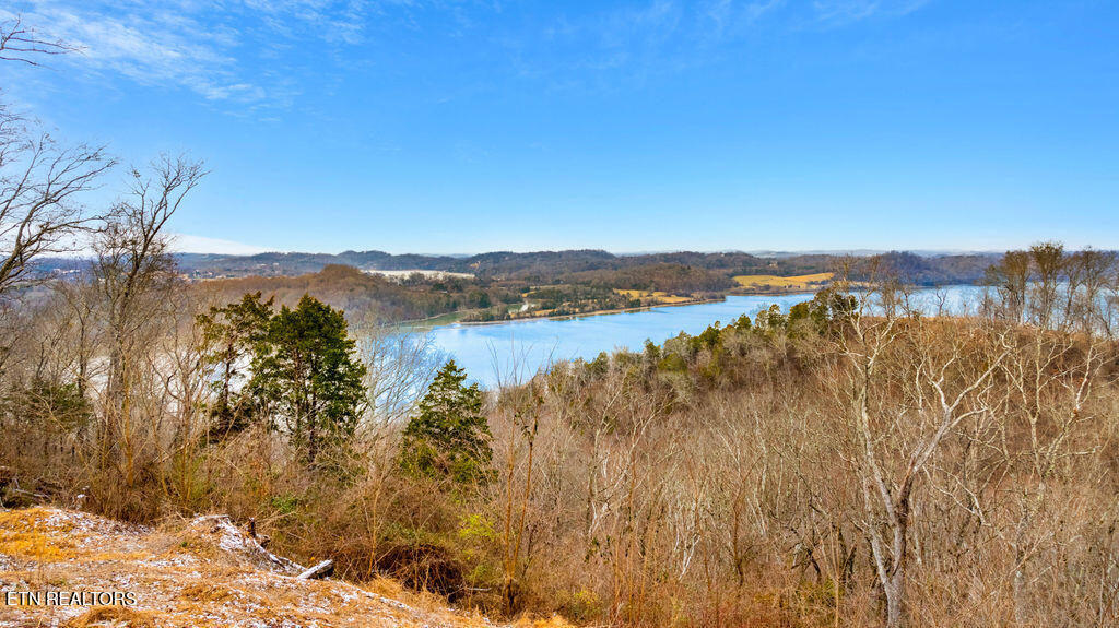 4129 Bear Hollow Loop Louisville TN 37777