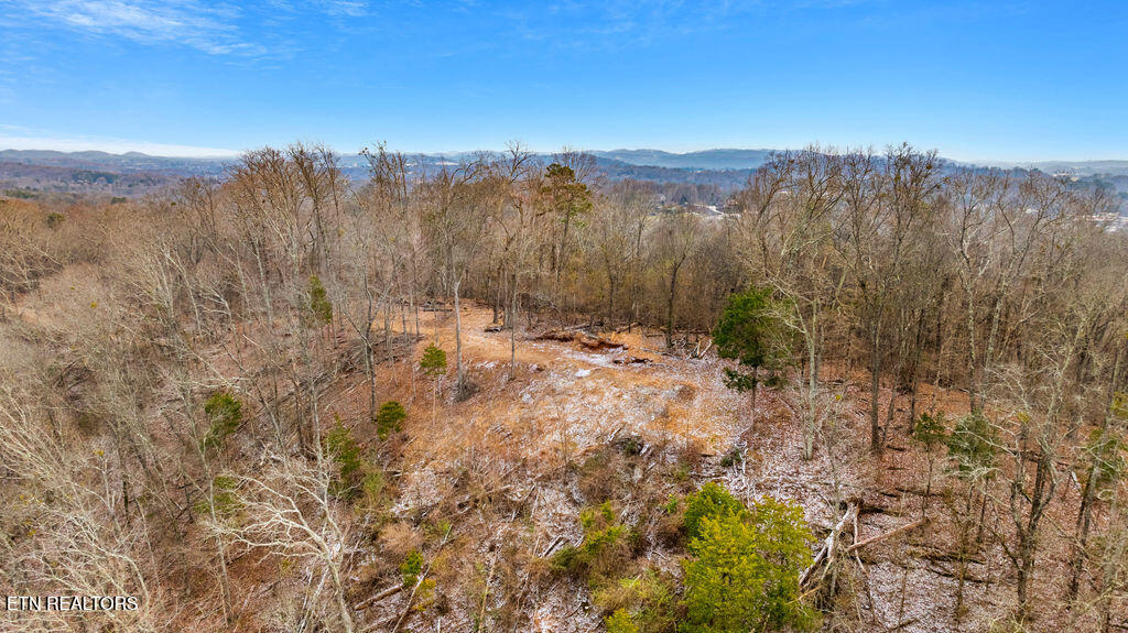4129 Bear Hollow Loop Louisville TN 37777
