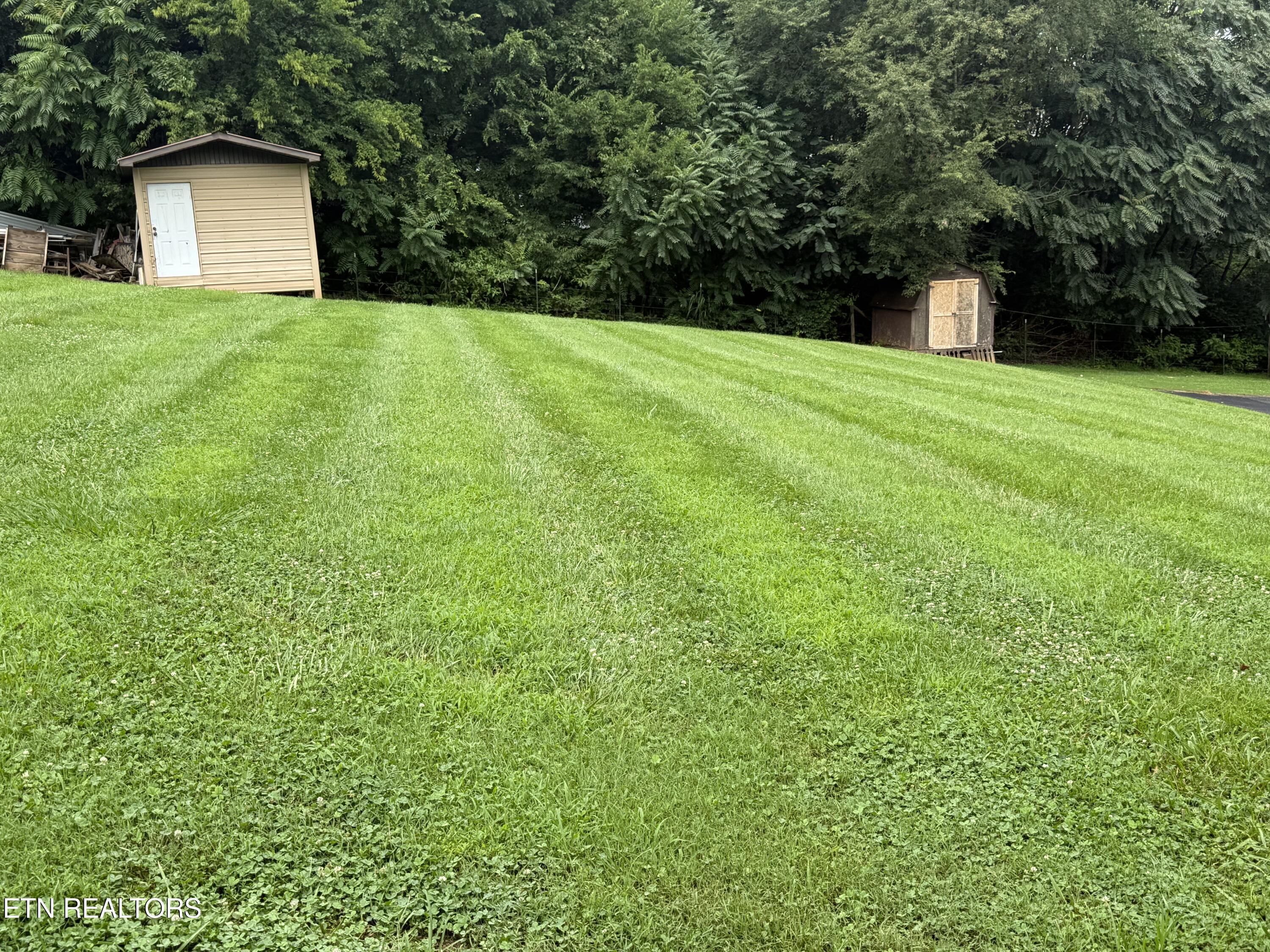 6800 Lakeshore Drive Rutledge TN 37861