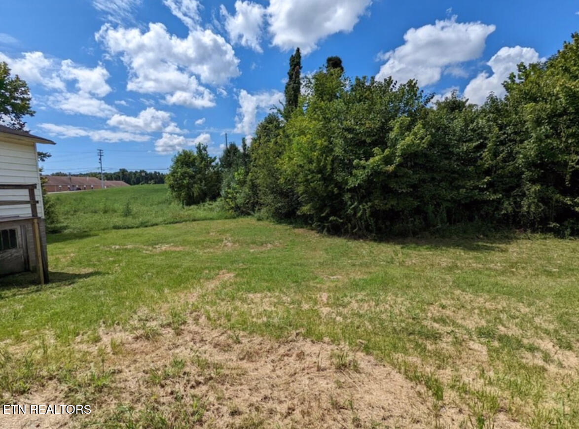 116 Flanders Avenue Harriman TN 37748