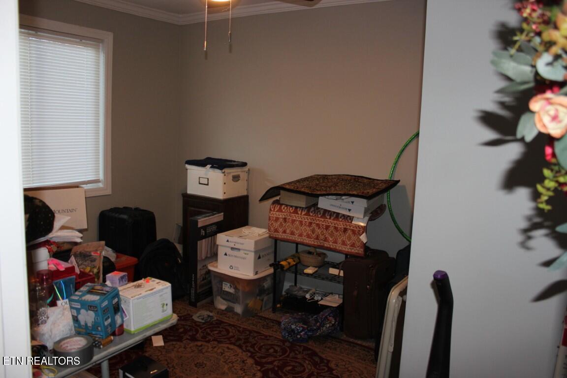 114 N Jefferson Circle Oak Ridge TN 37830
