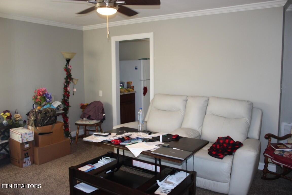 114 N Jefferson Circle Oak Ridge TN 37830