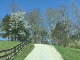 4703 Highway 25e Tazewell TN 37879