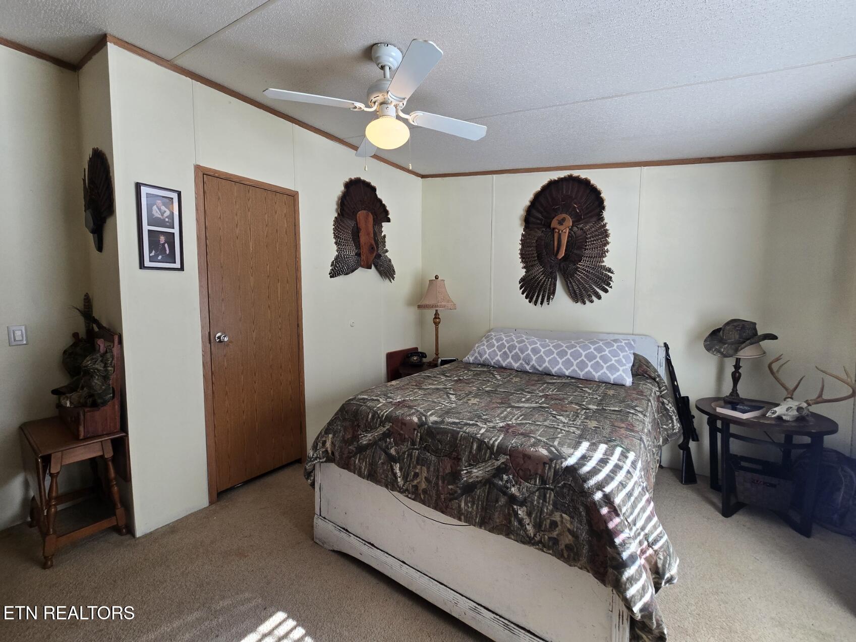 8275 Brimstone Road Robbins TN 37852