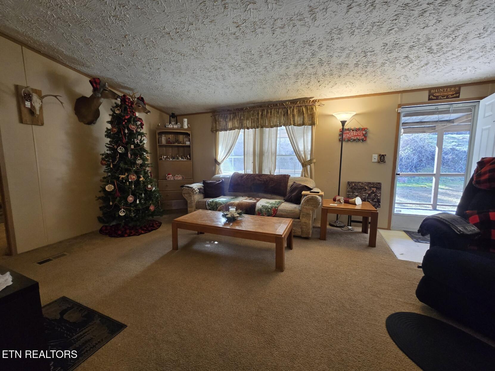 8275 Brimstone Road Robbins TN 37852