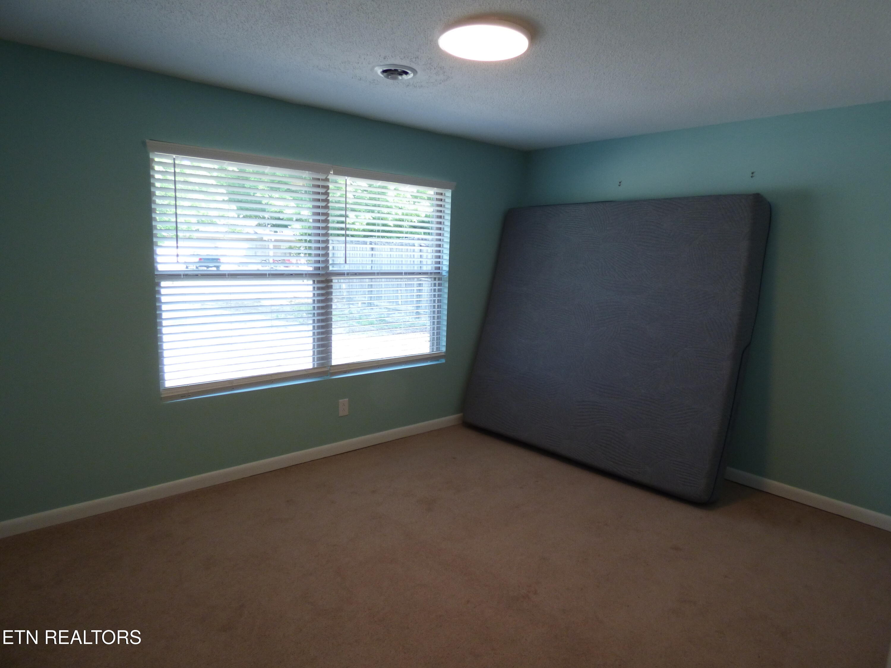 153 Travis Drive Spring City TN 37381