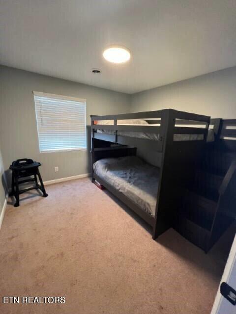 153 Travis Drive Spring City TN 37381