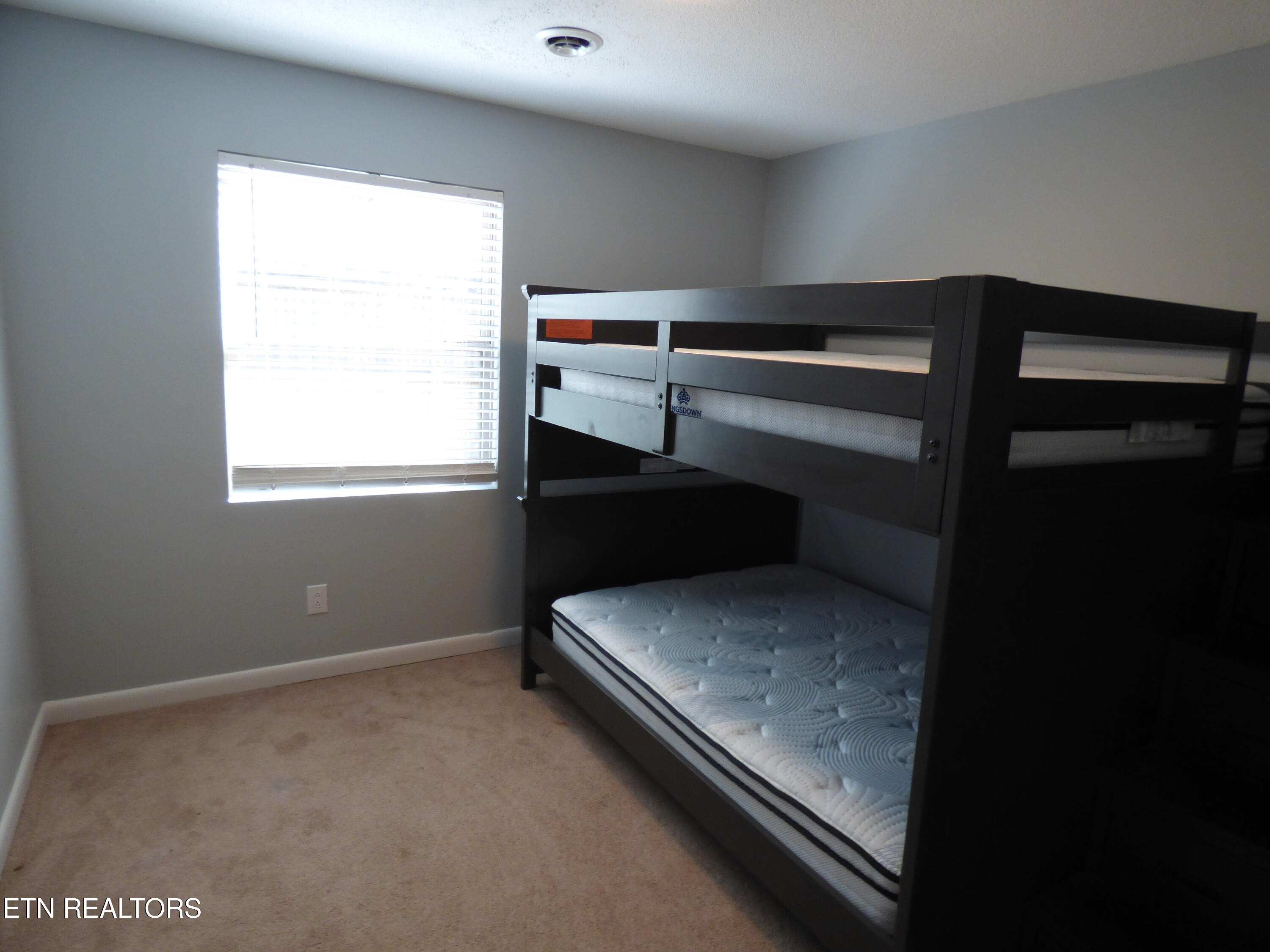 153 Travis Drive Spring City TN 37381