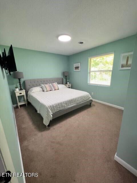153 Travis Drive Spring City TN 37381