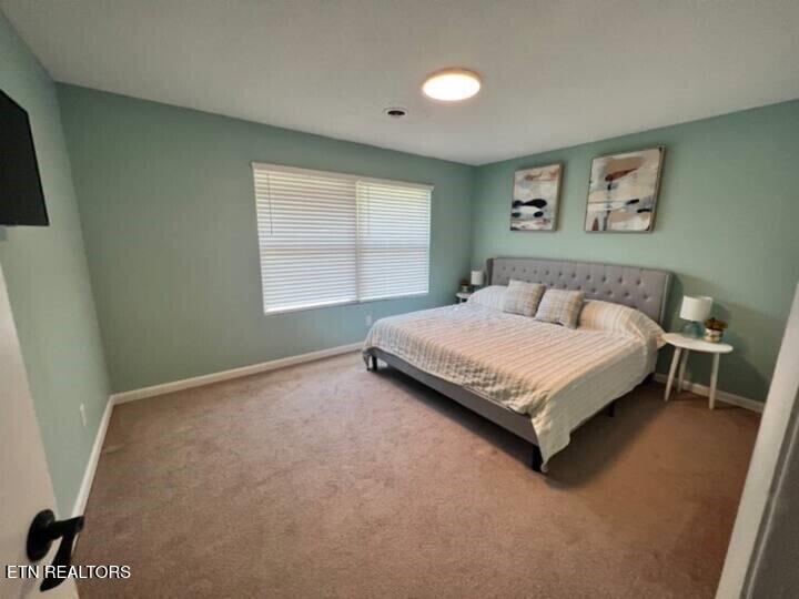153 Travis Drive Spring City TN 37381