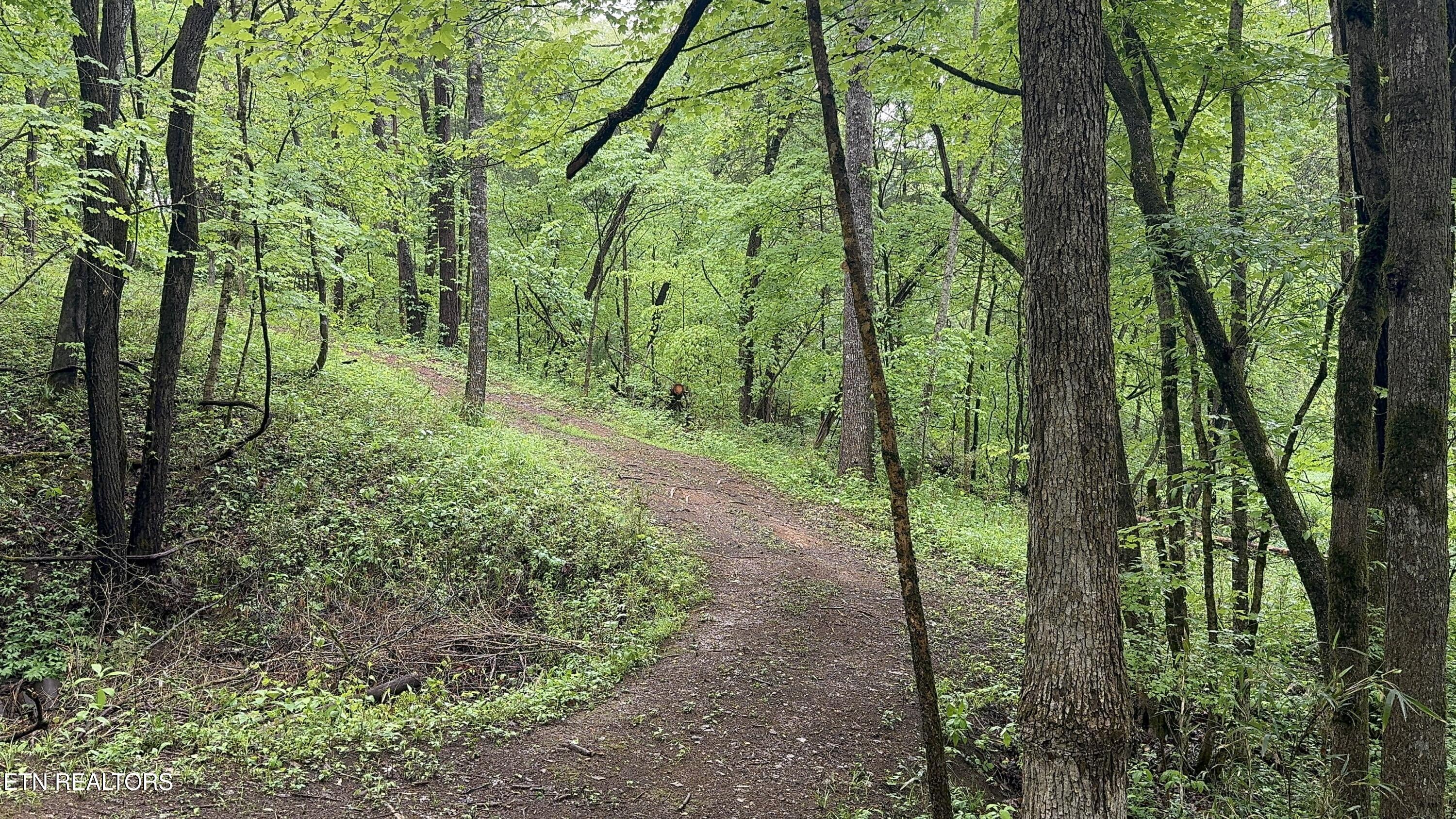427 & 439 Thorngrove Pike Kodak TN 37764